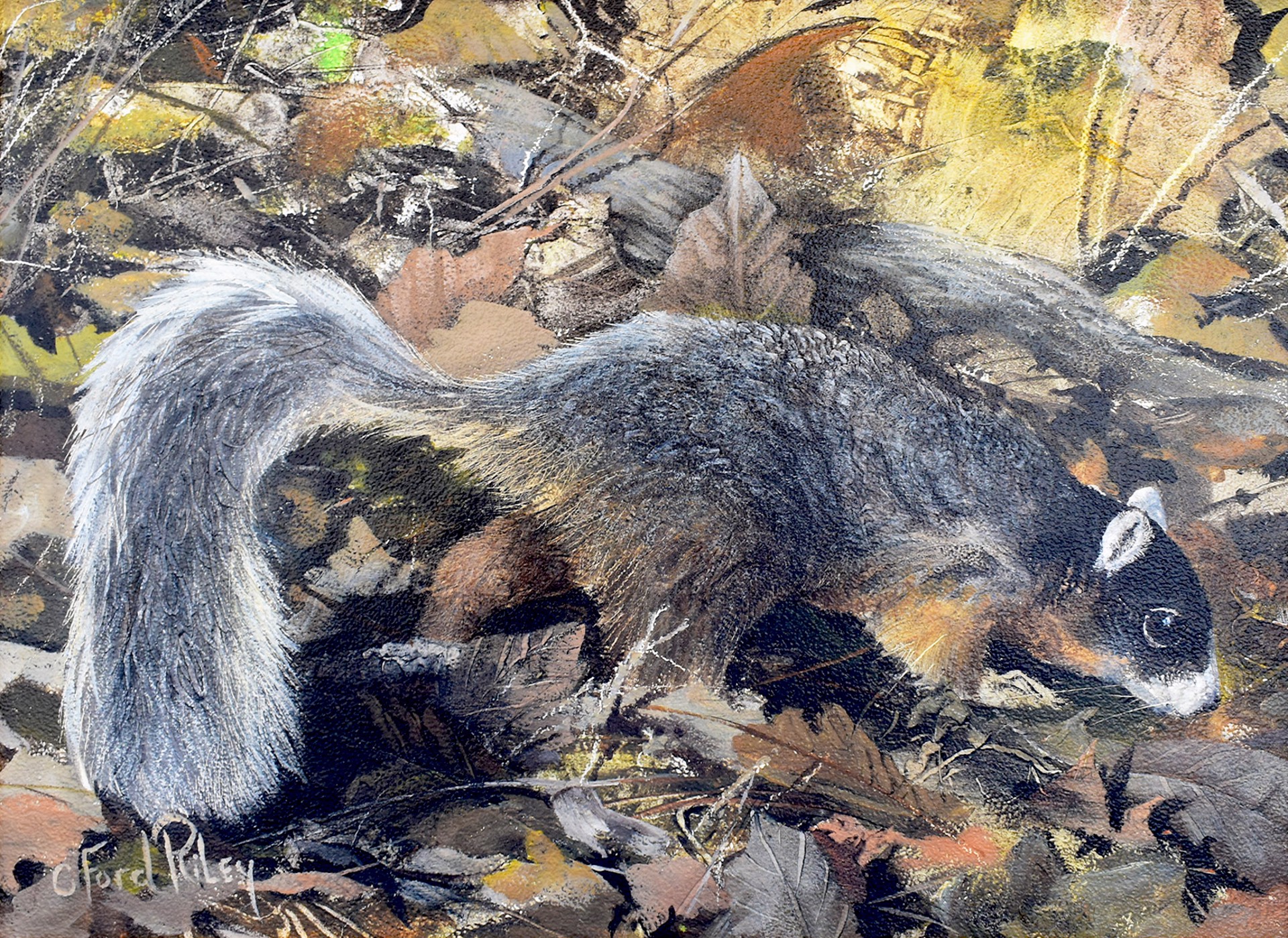 Searching for Acorns by C. Ford Riley