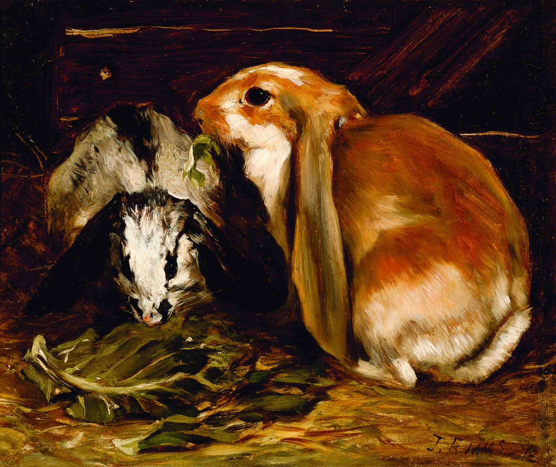 Rabbits by John Emms