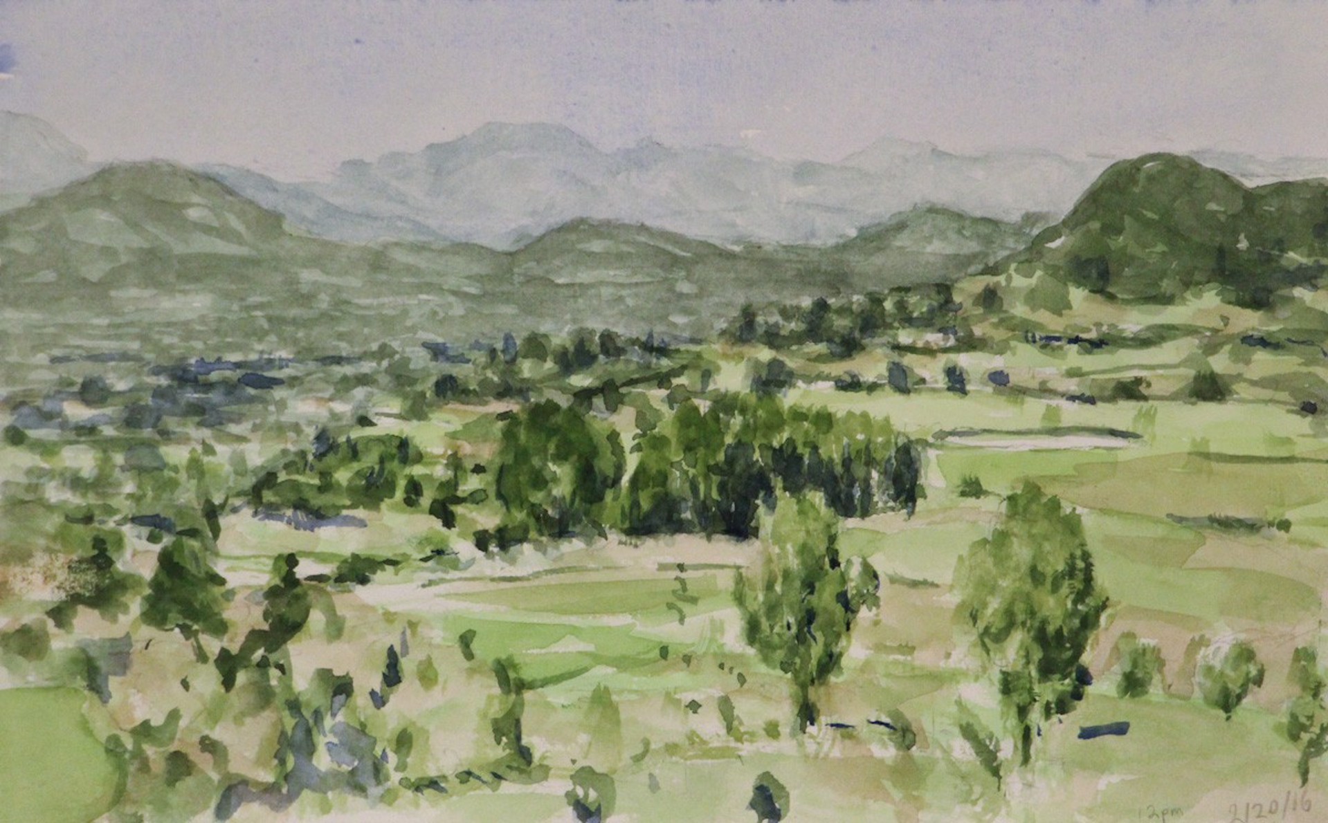 Sketch for Napa Valley by Ryan Reynolds