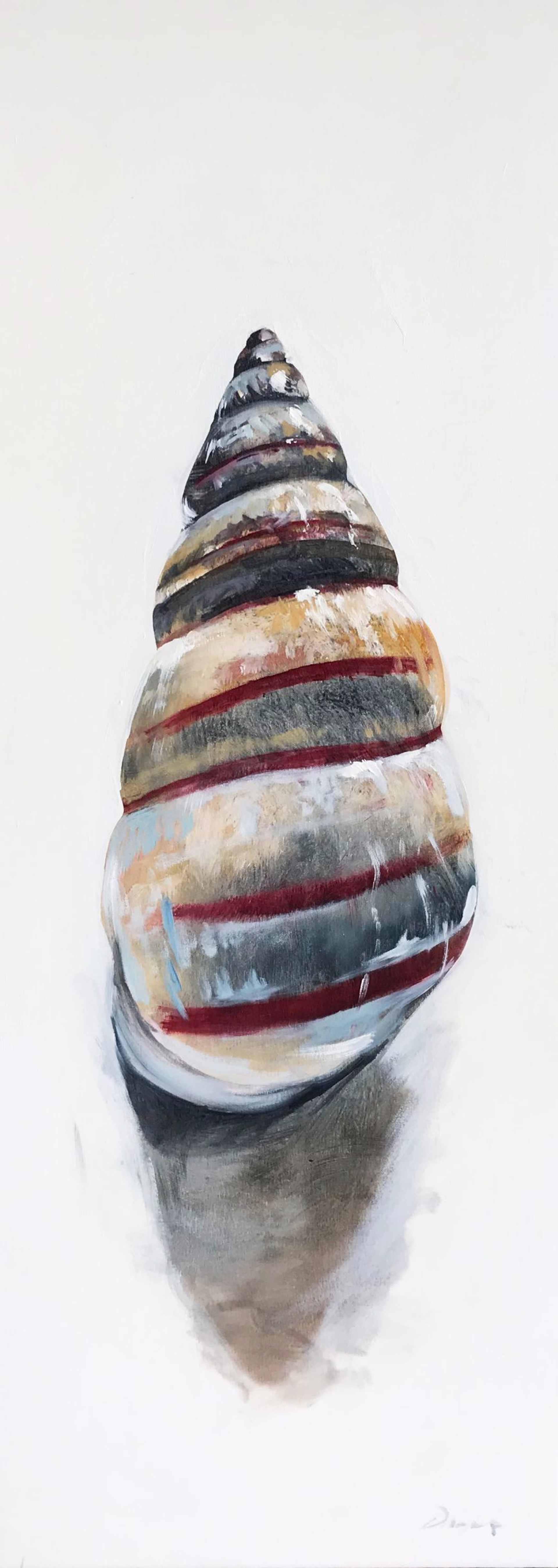 Shell I by Jim Draper