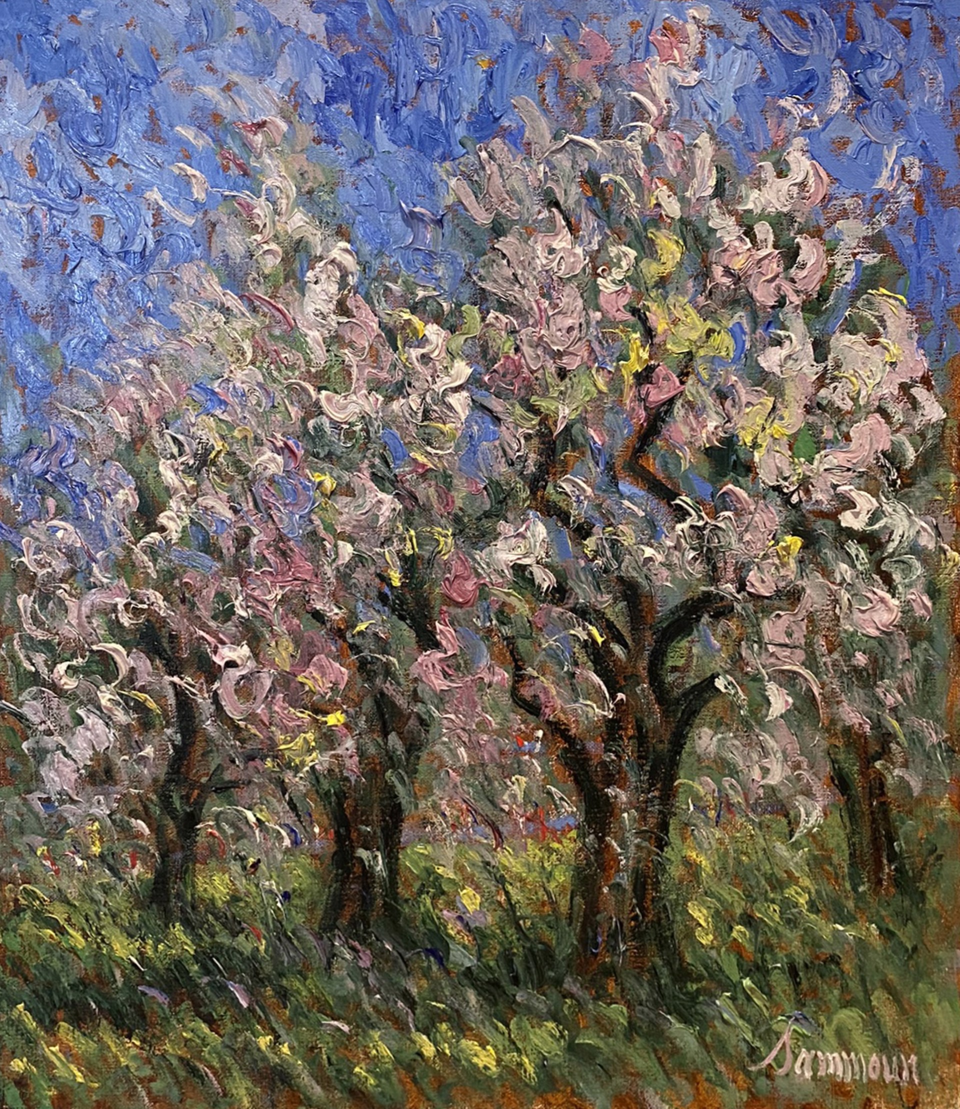 Cherry blossom, Central Park April by Samir Sammoun