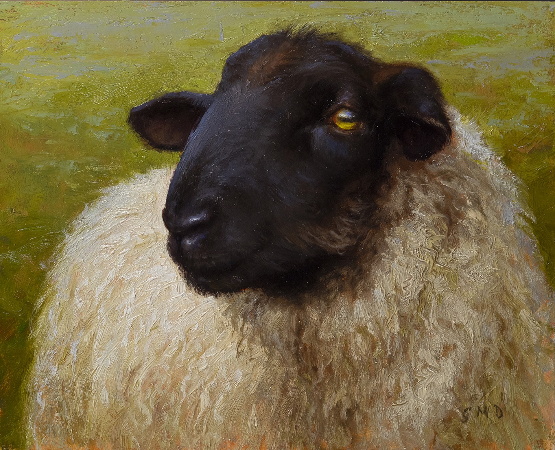Black Faced Sheep by Grace Devito