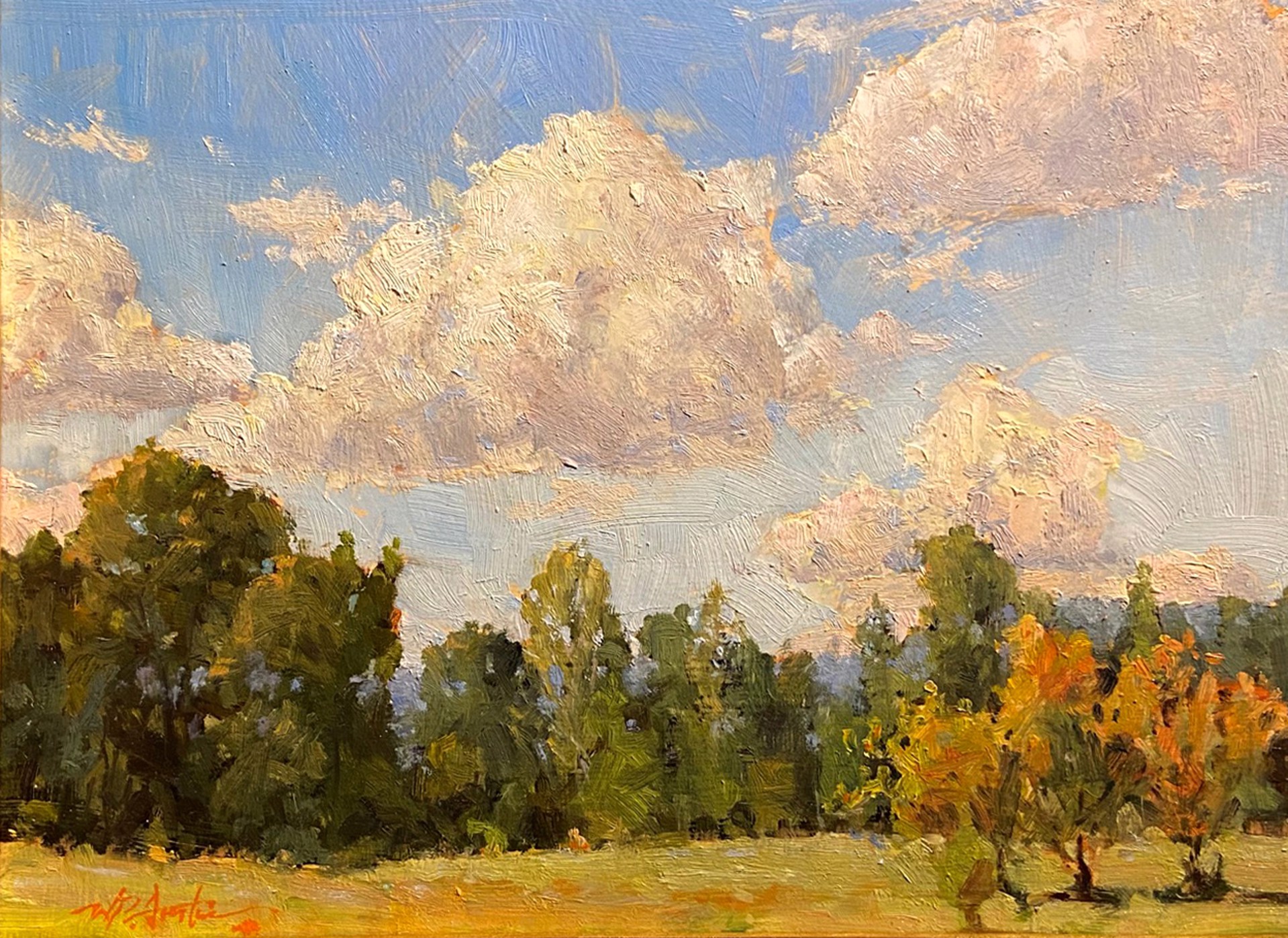 Clouds Over West Pasture by Perry Austin