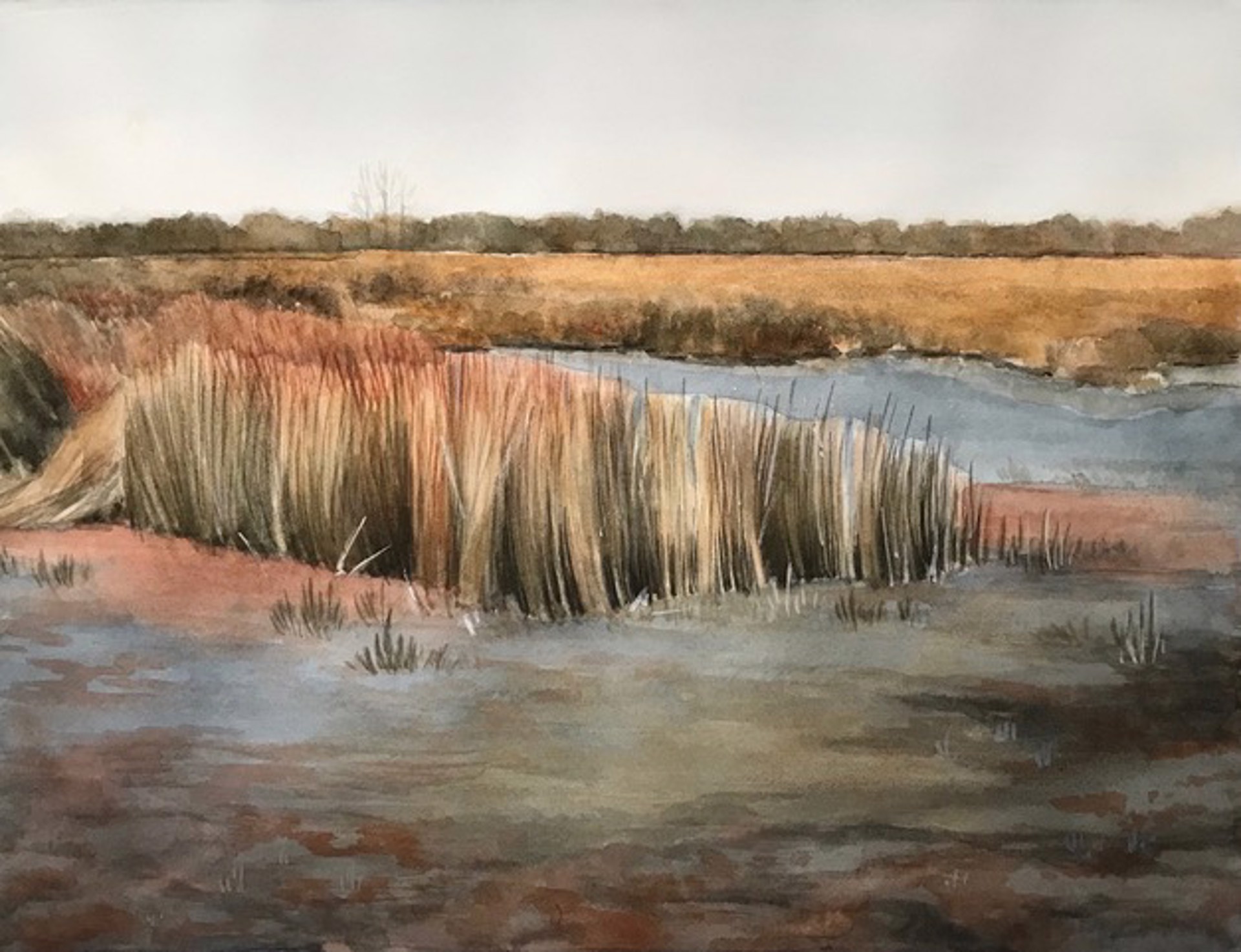 Winter Marsh, Anahuac by Ken Mazzu