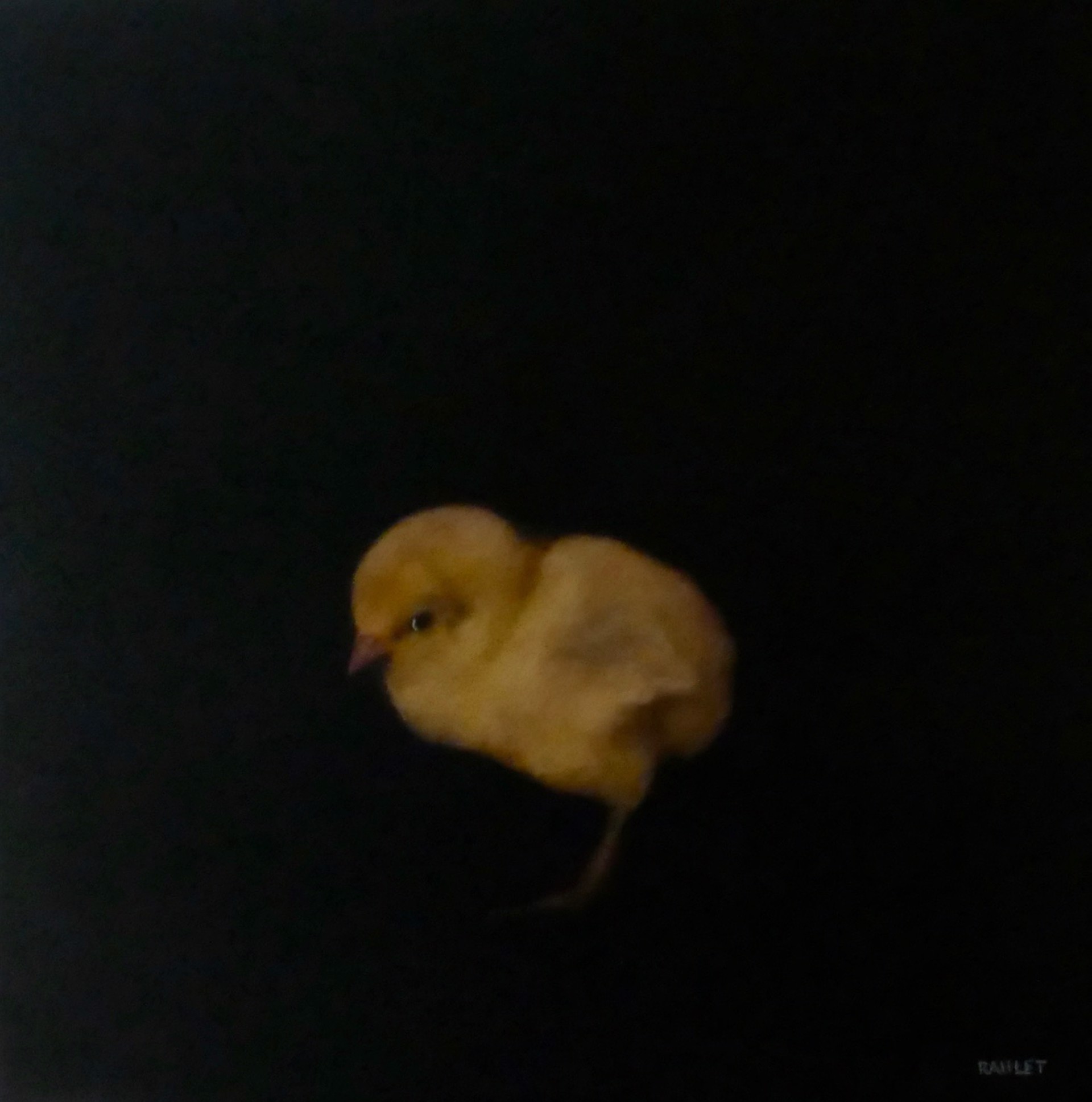 Chickadee by Dawne Raulet