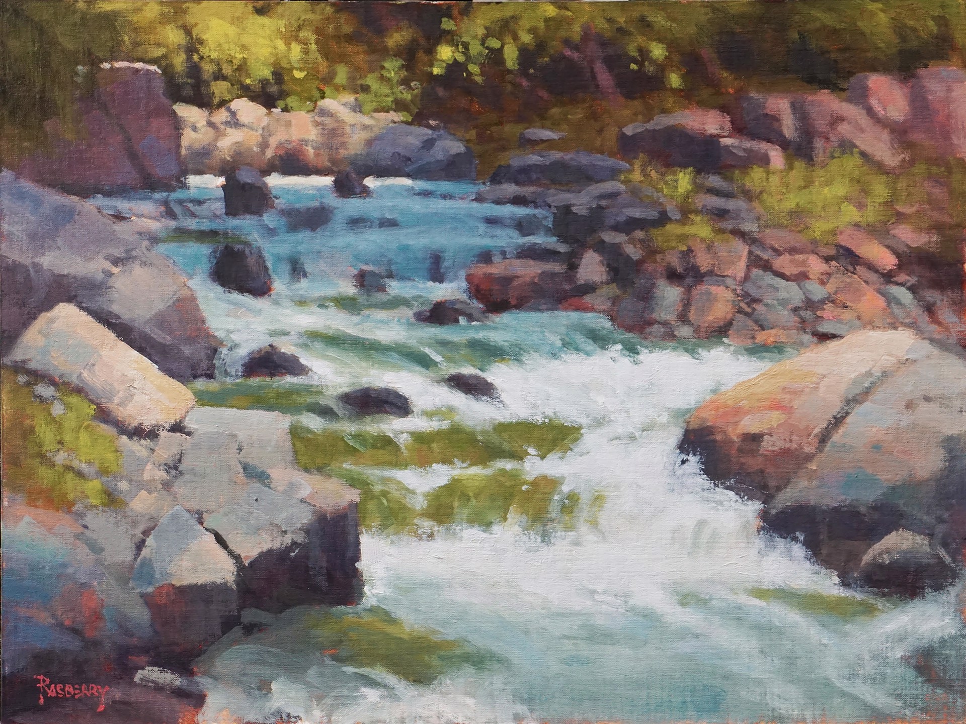 Rio Hondo Cascade by John Rasberry