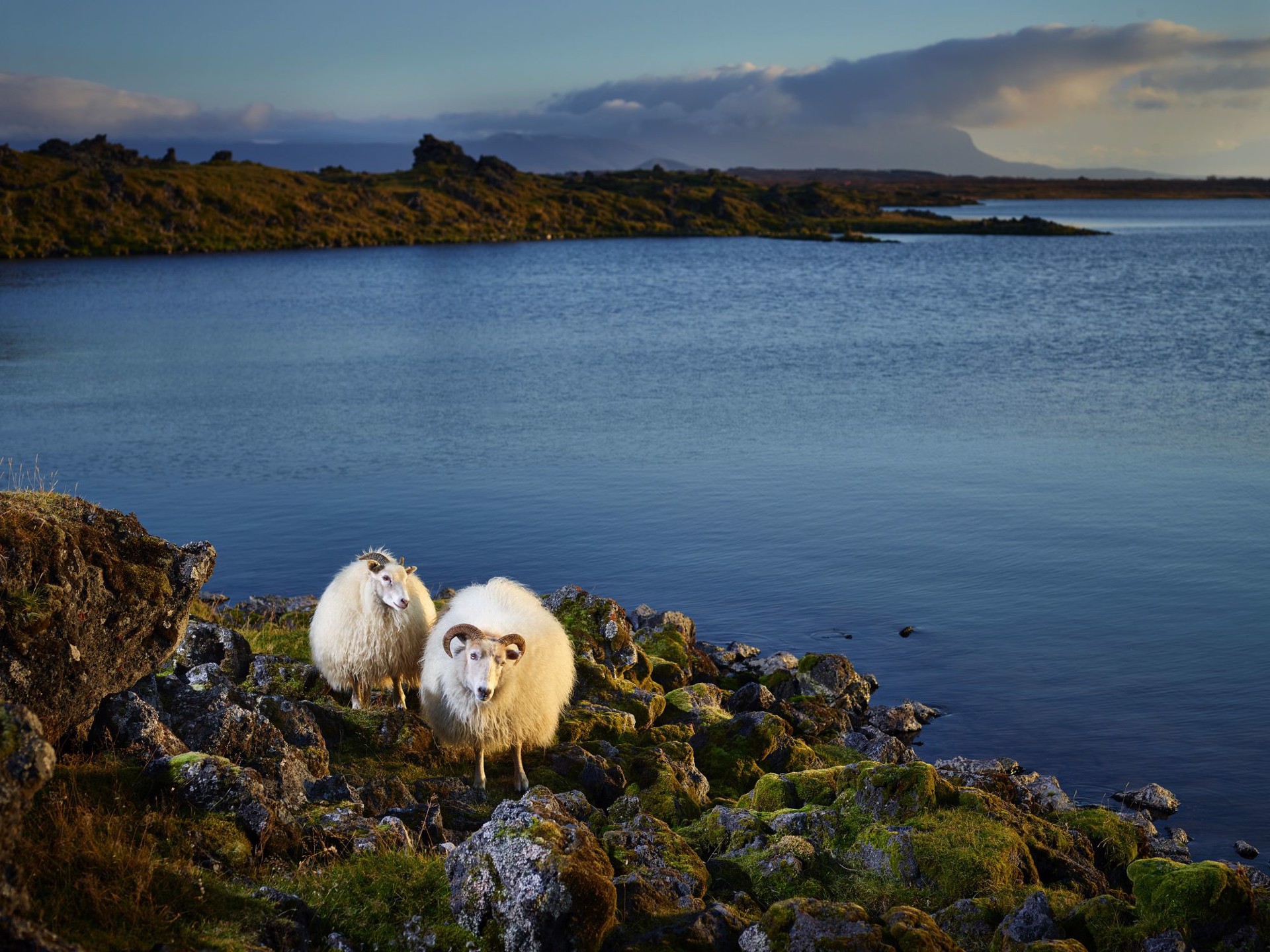The Lifeguards, lake Myvatn, Iceland by R. J. Kern