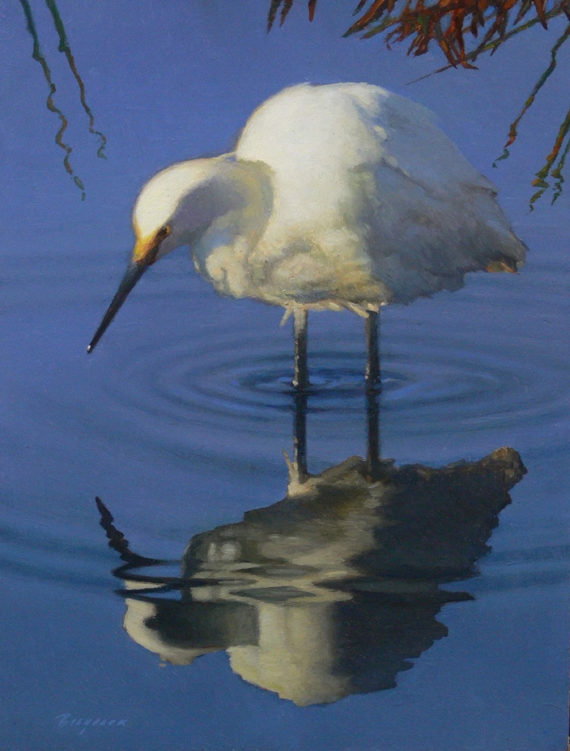 Egret by Peter Bergeron