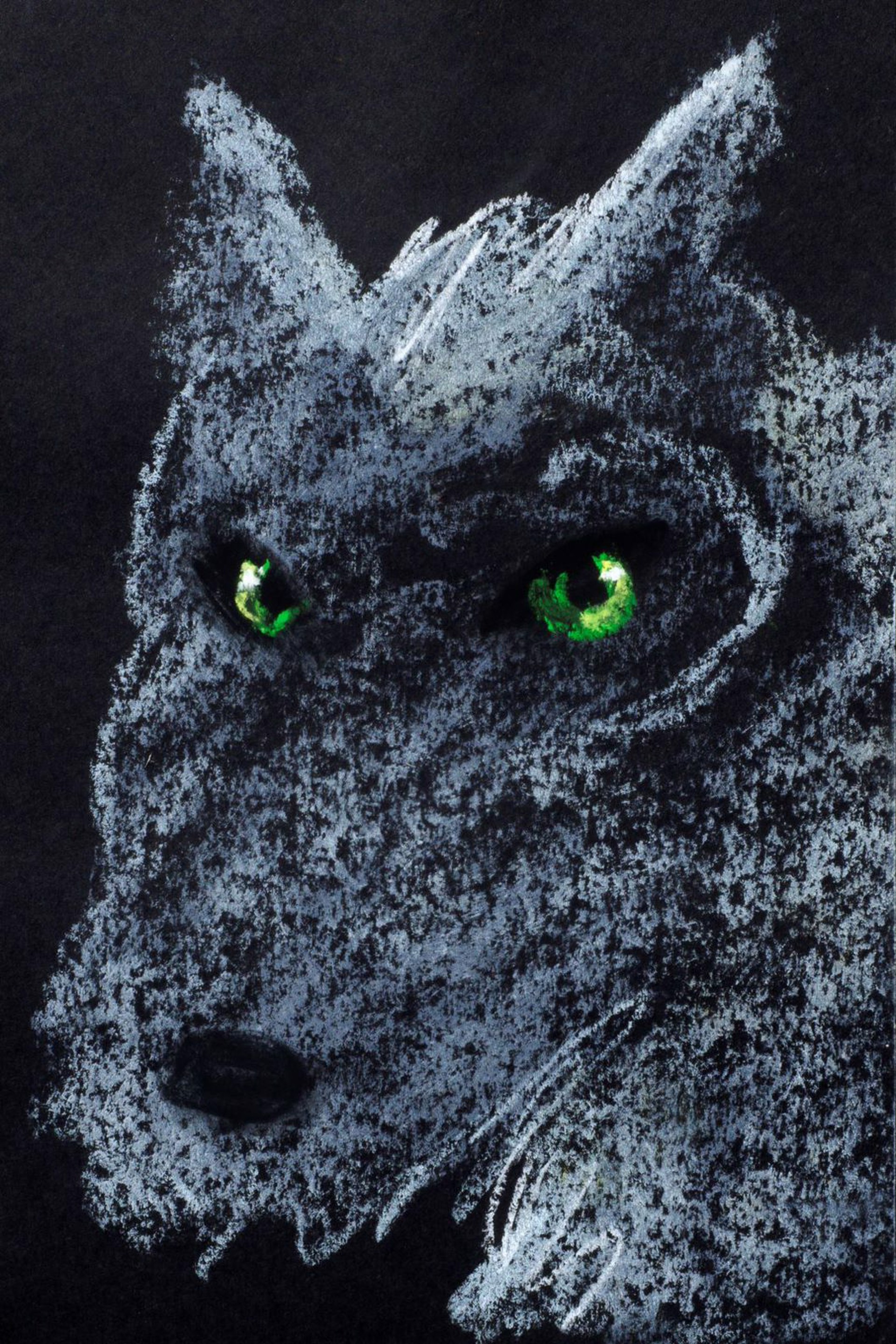 Green Eyed Grey Wolf by Carole LaRoche