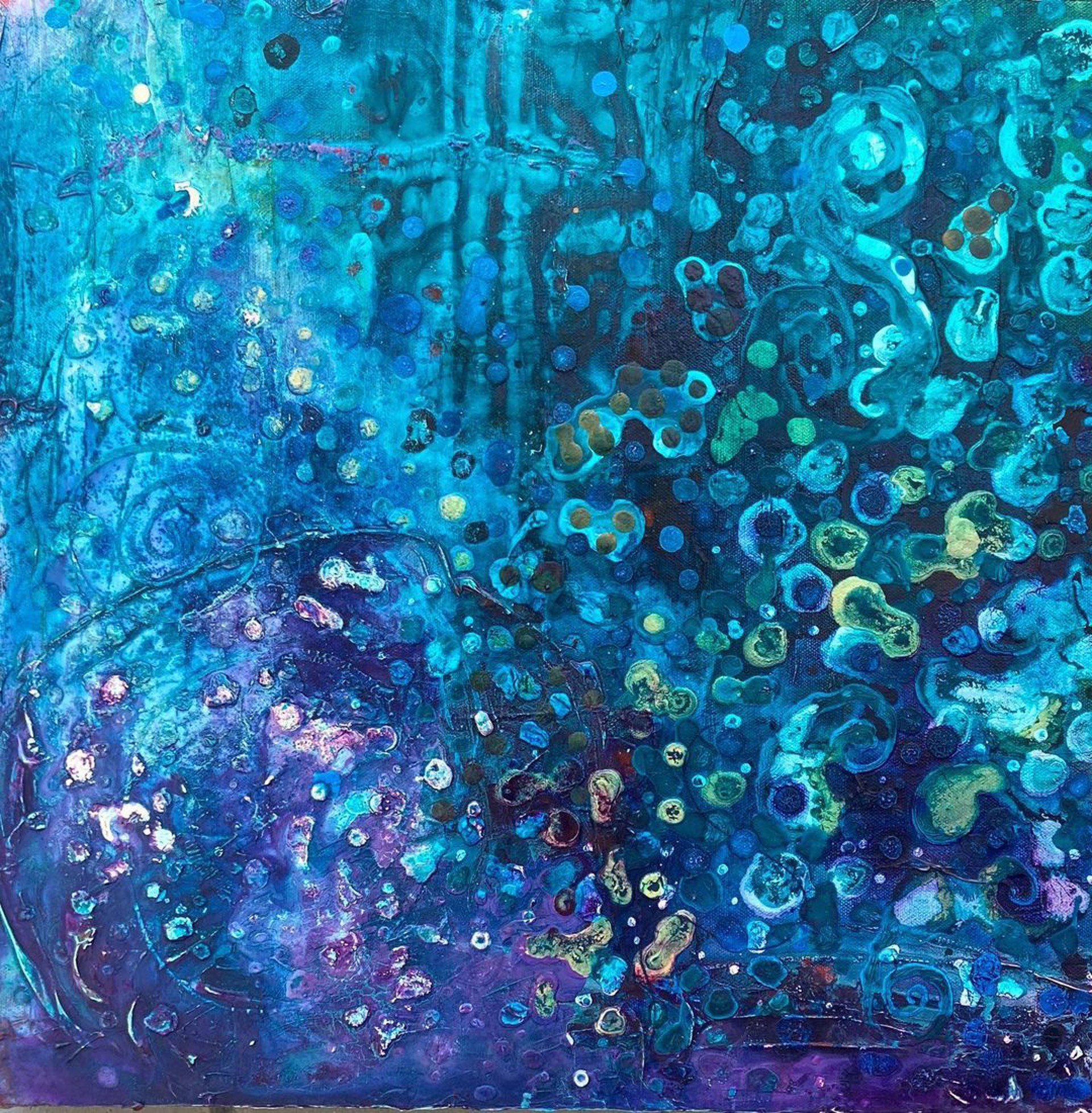 mollusca by sachi oba