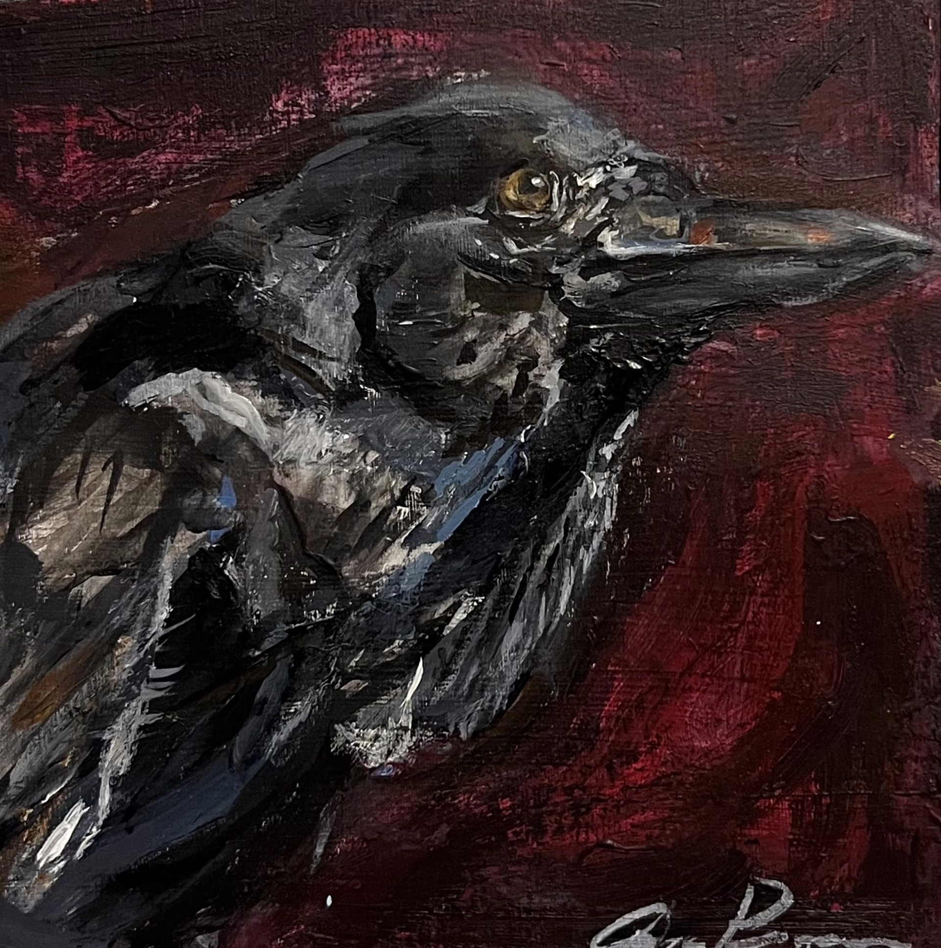 Astute Crow by Ana Brown