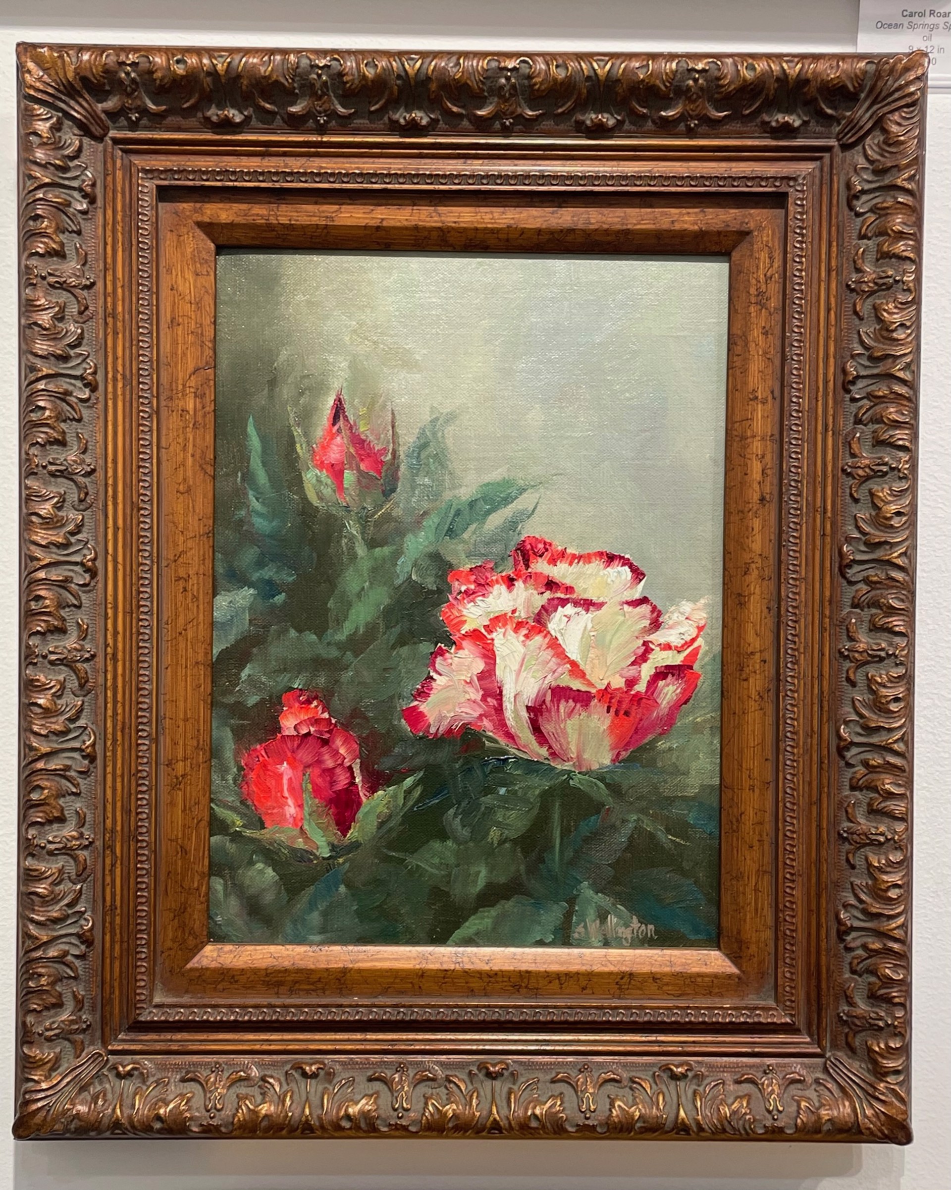 Paloma Roses by Susan Wellington