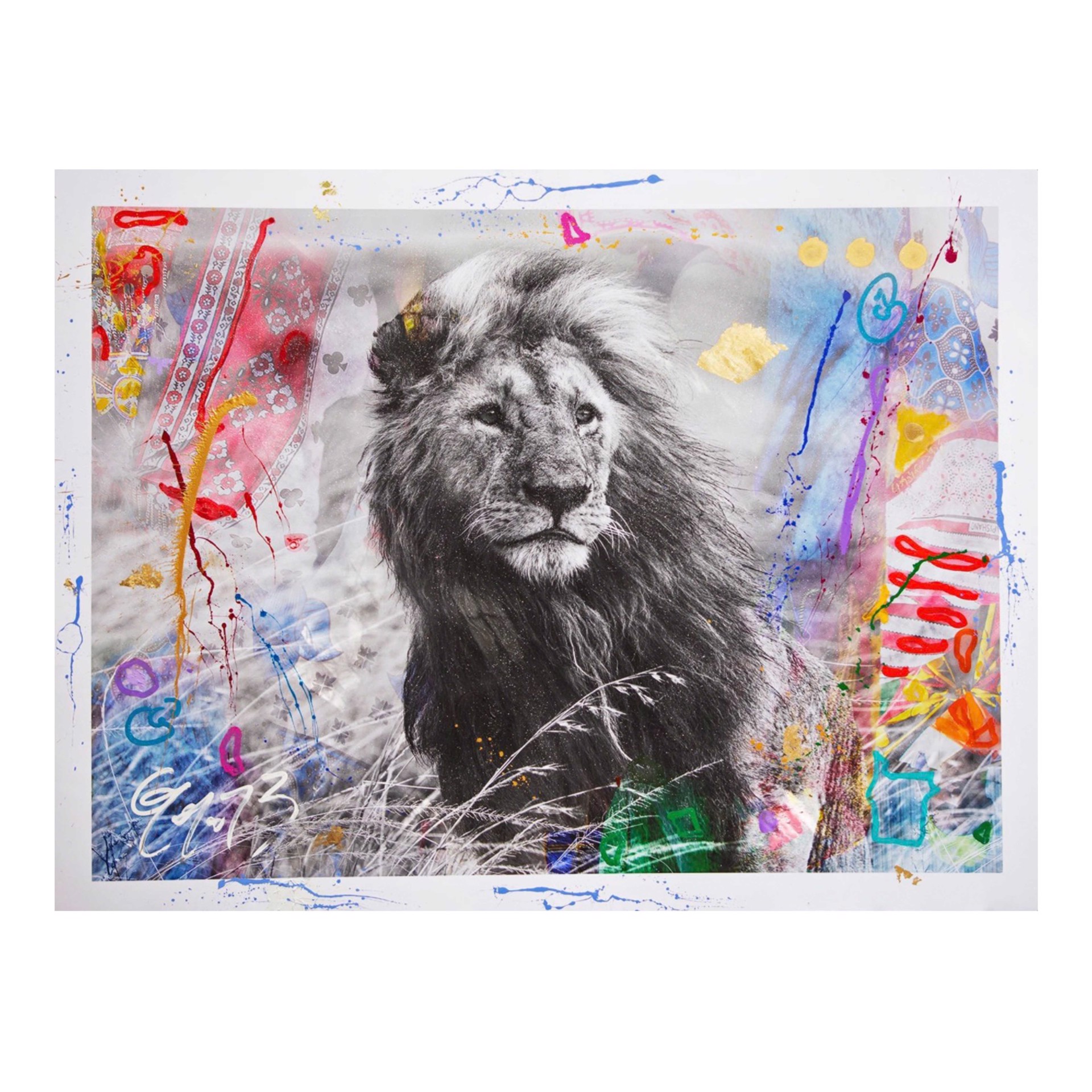 Lions, Shir [Medium] by Arno Elias