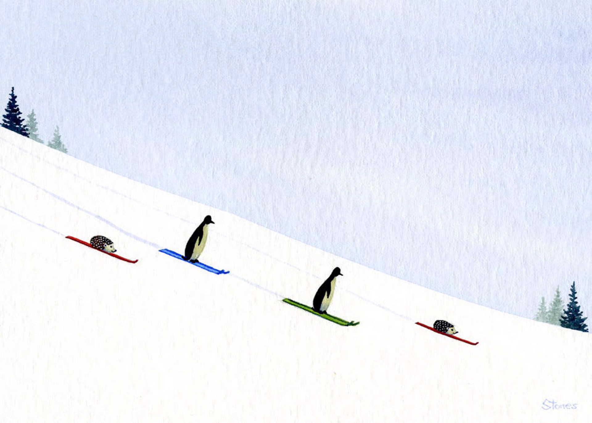 Penguins, Hedgehogs, Skis by Greg Stones
