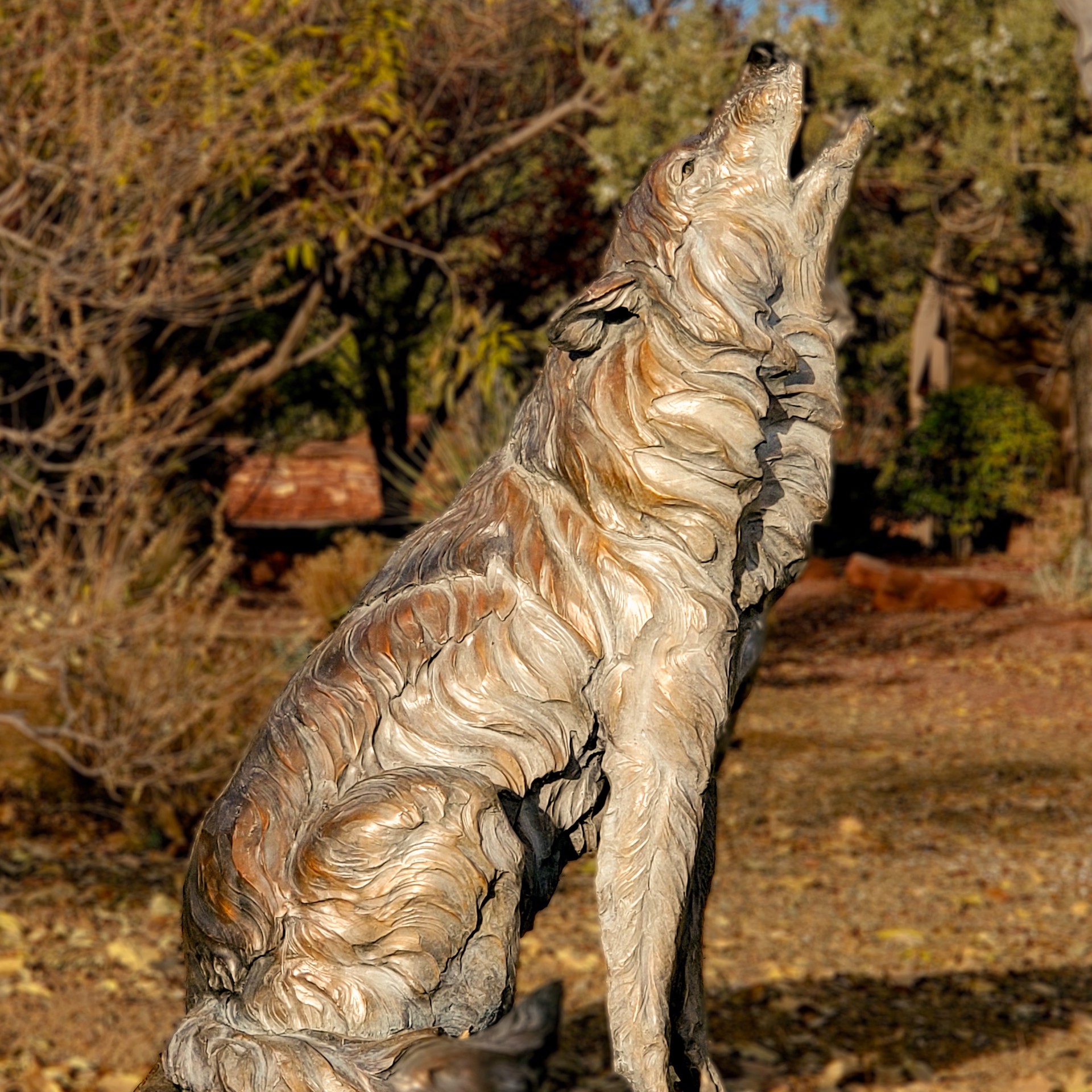 The Howling Wind (Sitting Wolf) (Edition of 9 to 12) by Ken Rowe