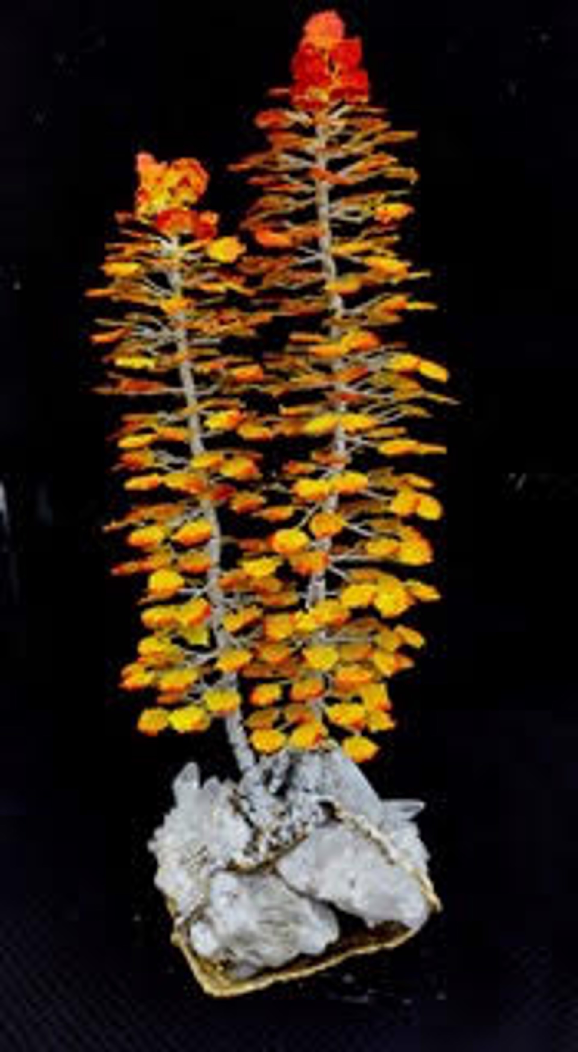 Double Aspens, Table Sculpture by Richard & Bianca Smith