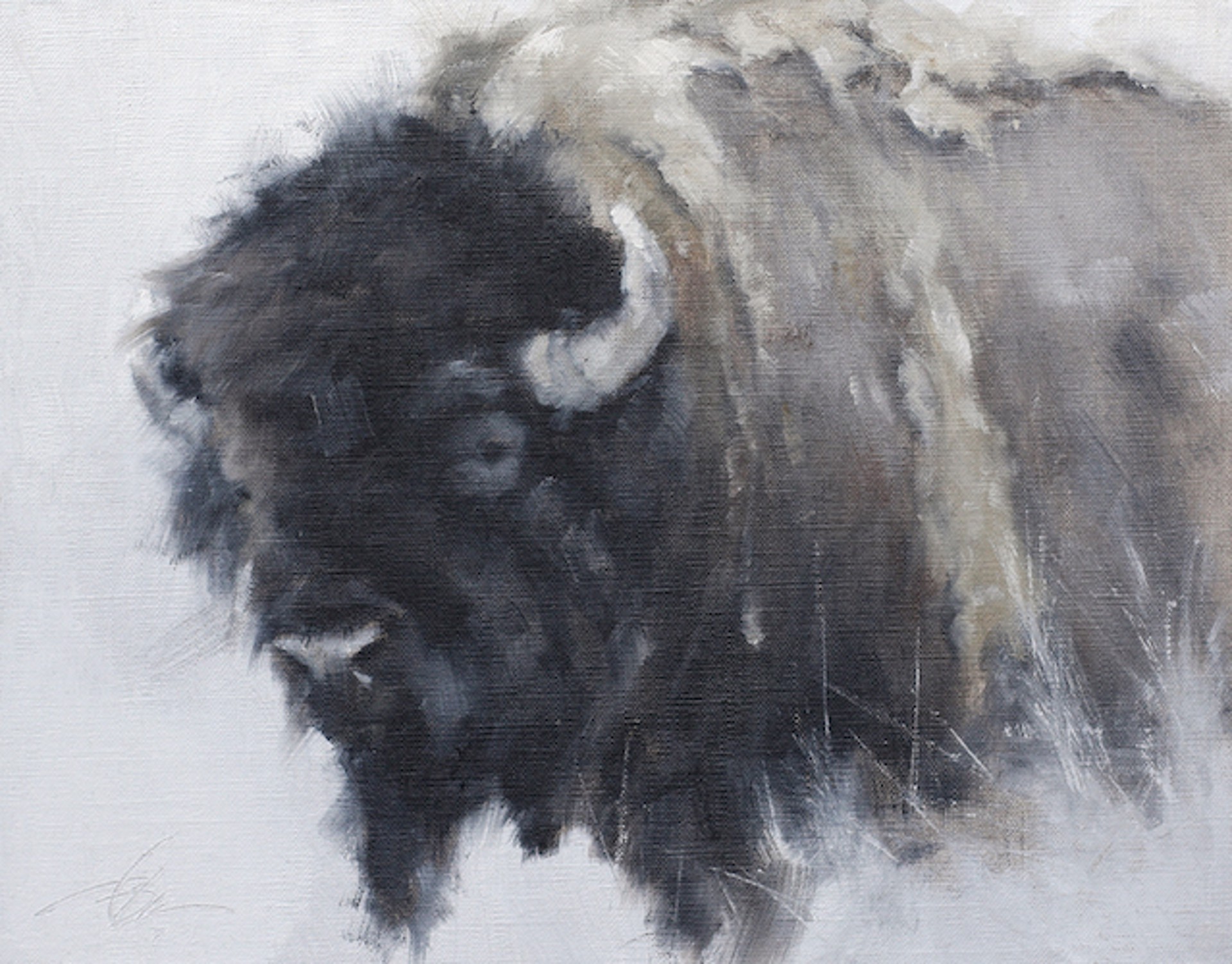 Original Oil Painting Of A Bison With A White Background