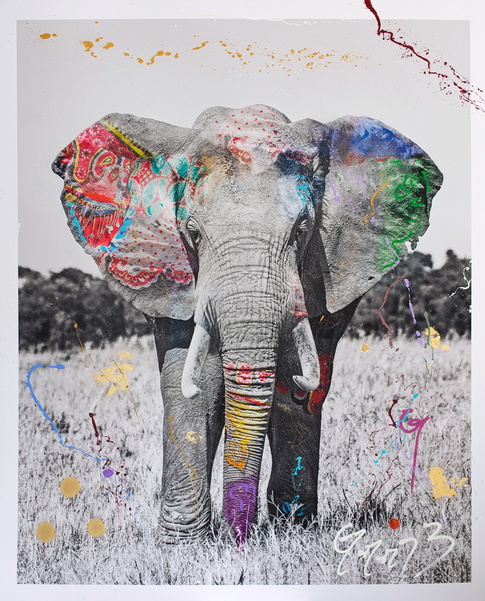 アート作品　I'M NOT A TROPHY \"CARA LION\" CARA LION, Tattoo, I'M NOT A TROPHY · Art photographs