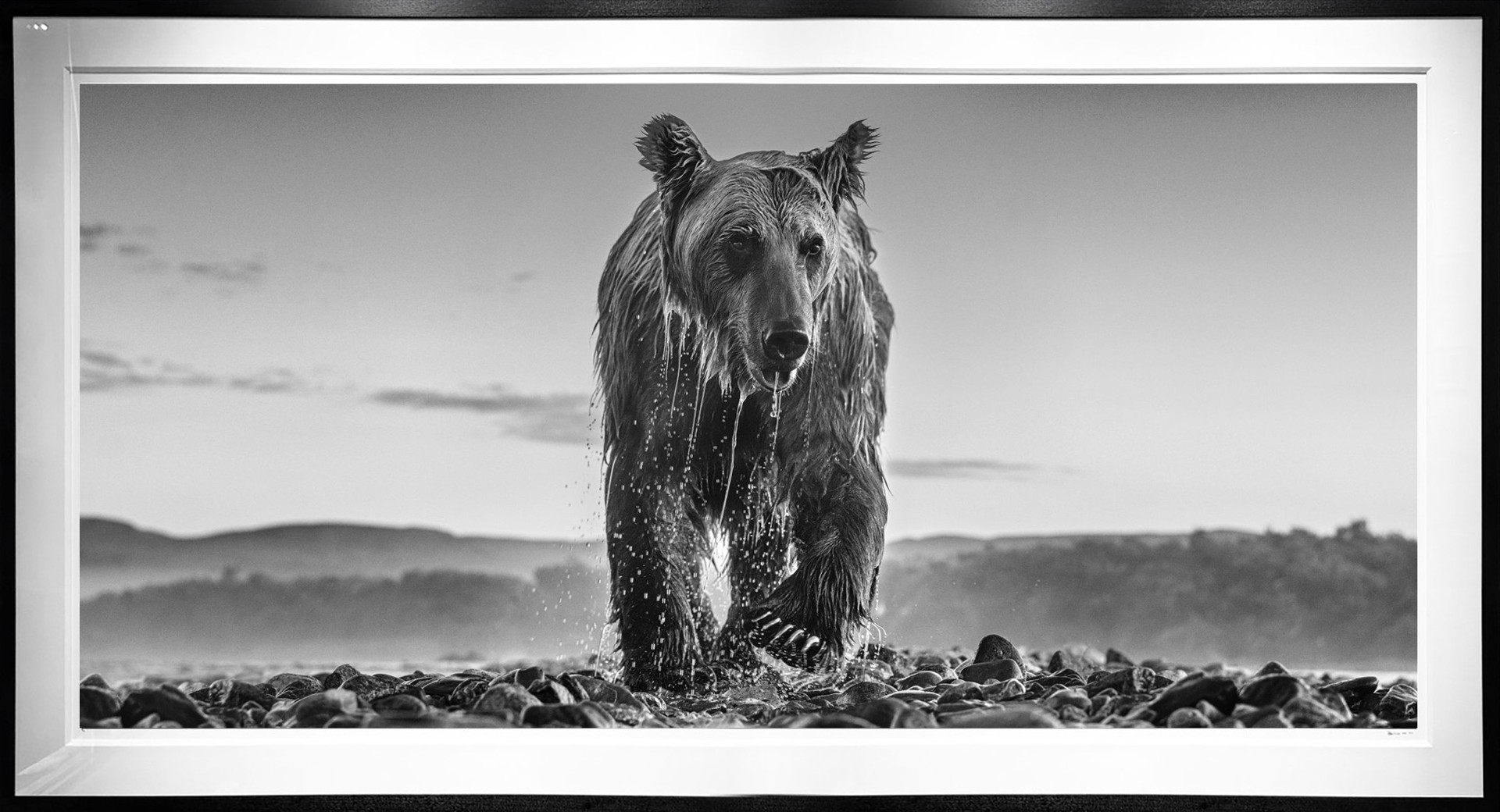 Bear Island by David Yarrow