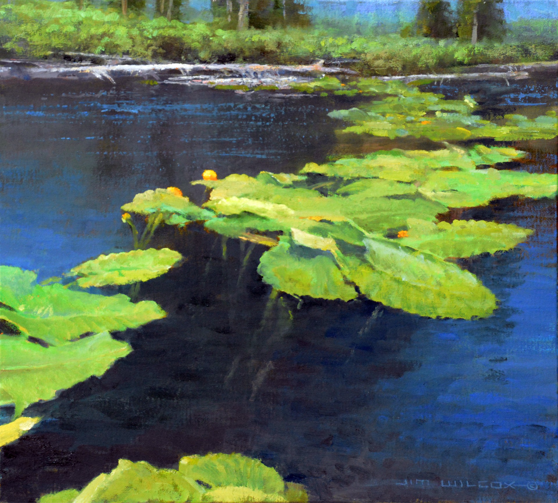 Floating Garden by Jim Wilcox