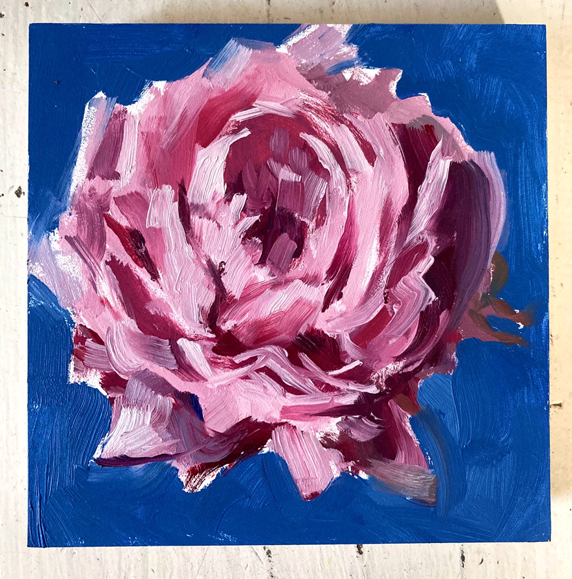 Peony Project #23 by Amy R. Peterson*