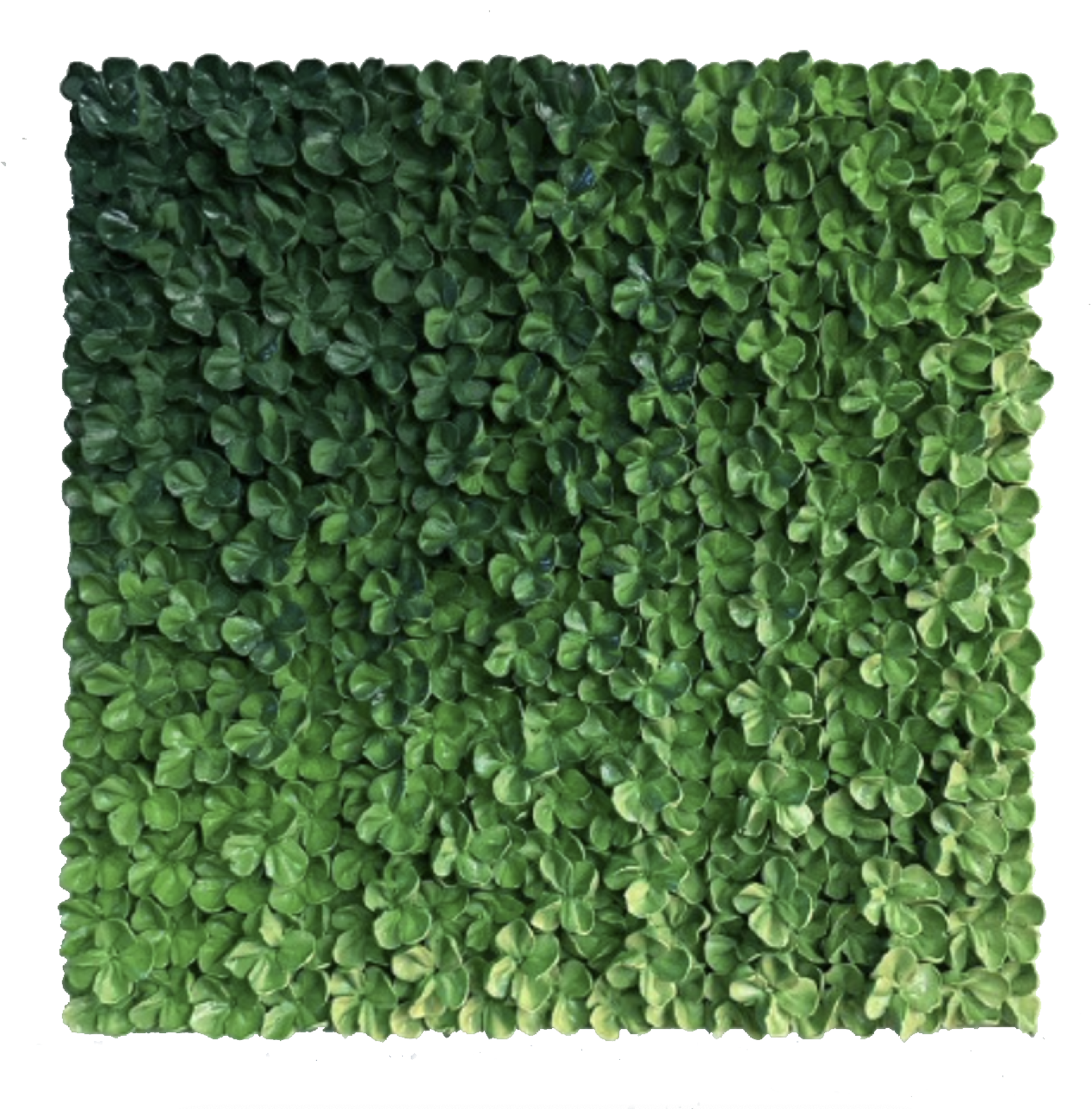 Verdant by Christine Tonolini
