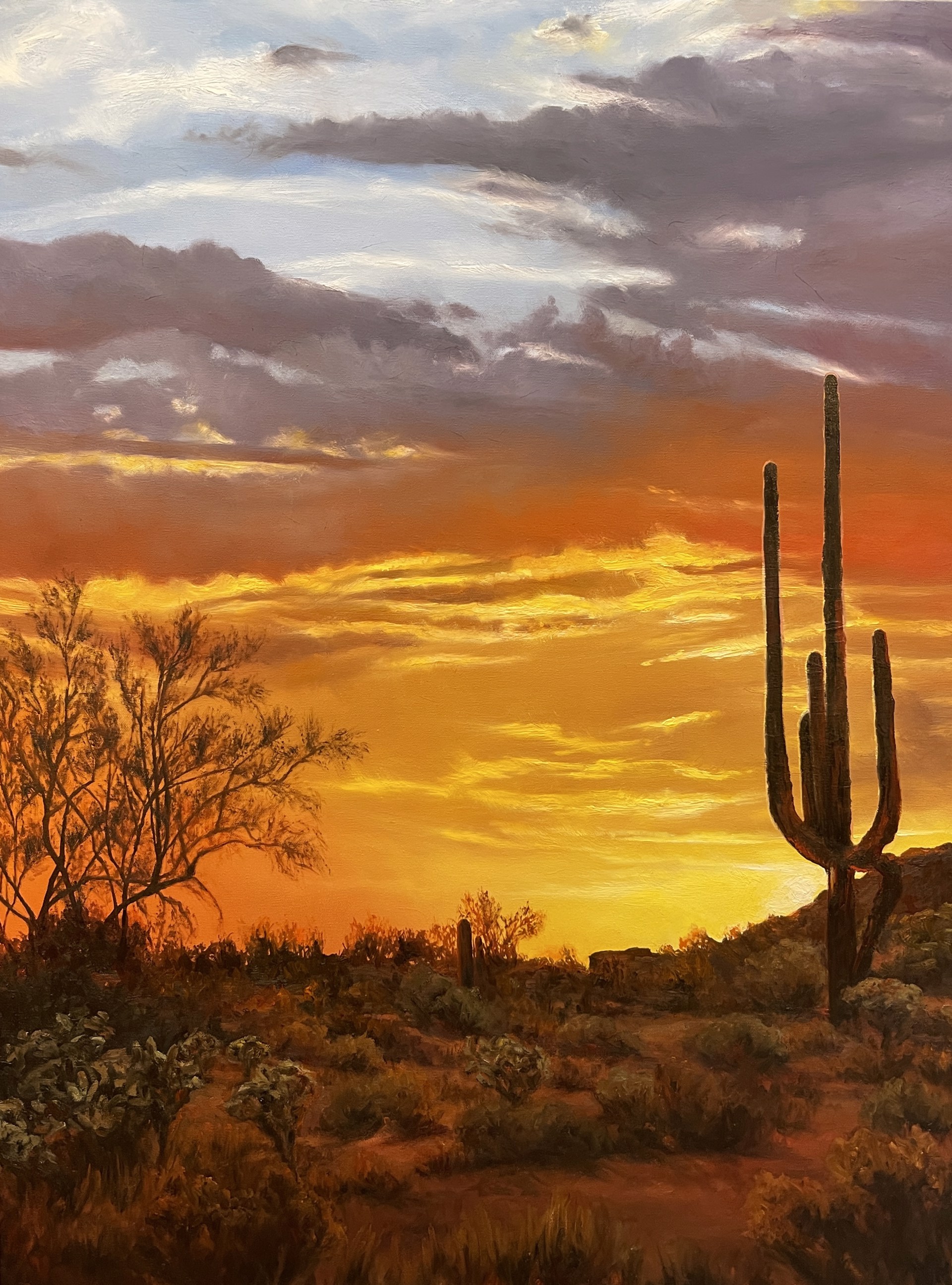 Sonoran Sunset by Naomi Brown