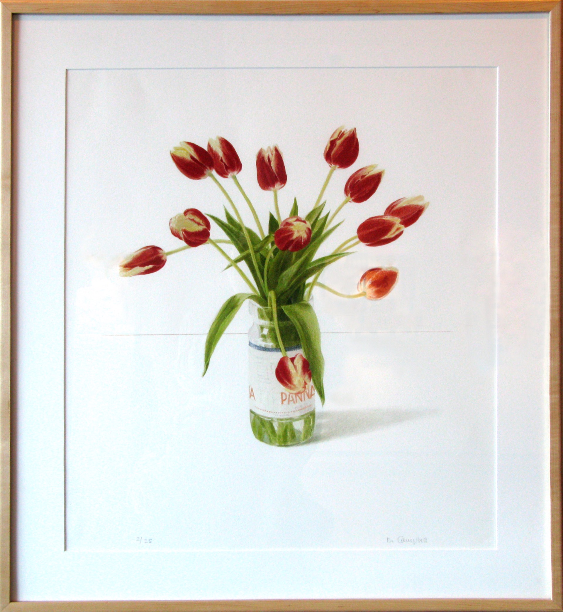Panna e Tulipani   2/25 by Donald Campbell