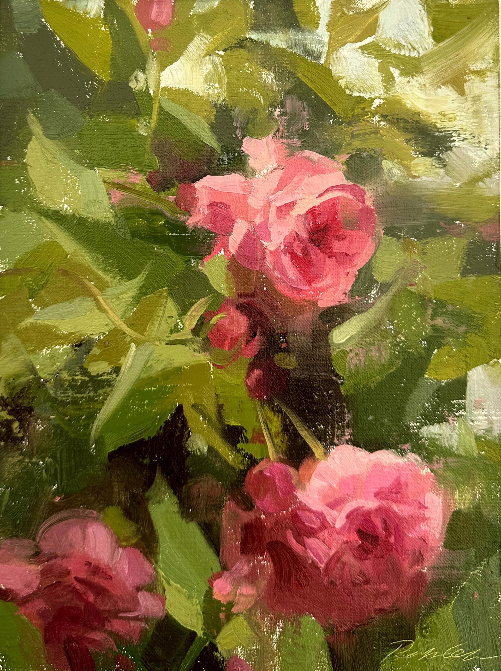 Grandma Roses by Robin Cole