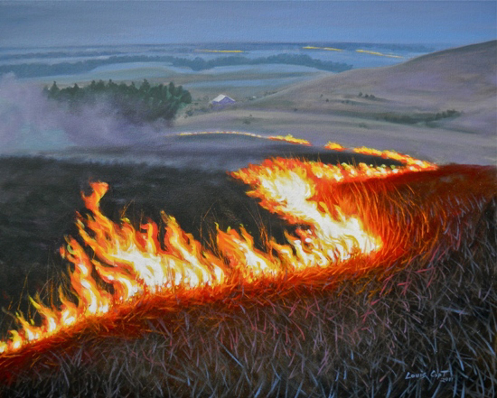 Big Flames by Louis Copt