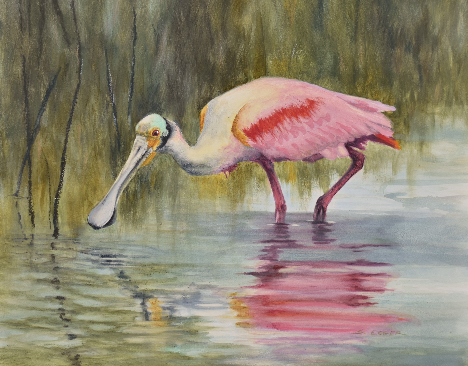 Spoonbill by Sherry Egger