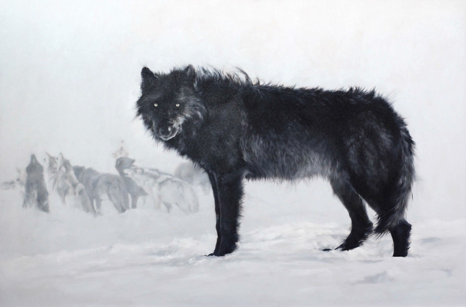Original Oil Painting Featuring A Black Wolf On Snow Covered Scene With Wolf Pack Blurred In The Background