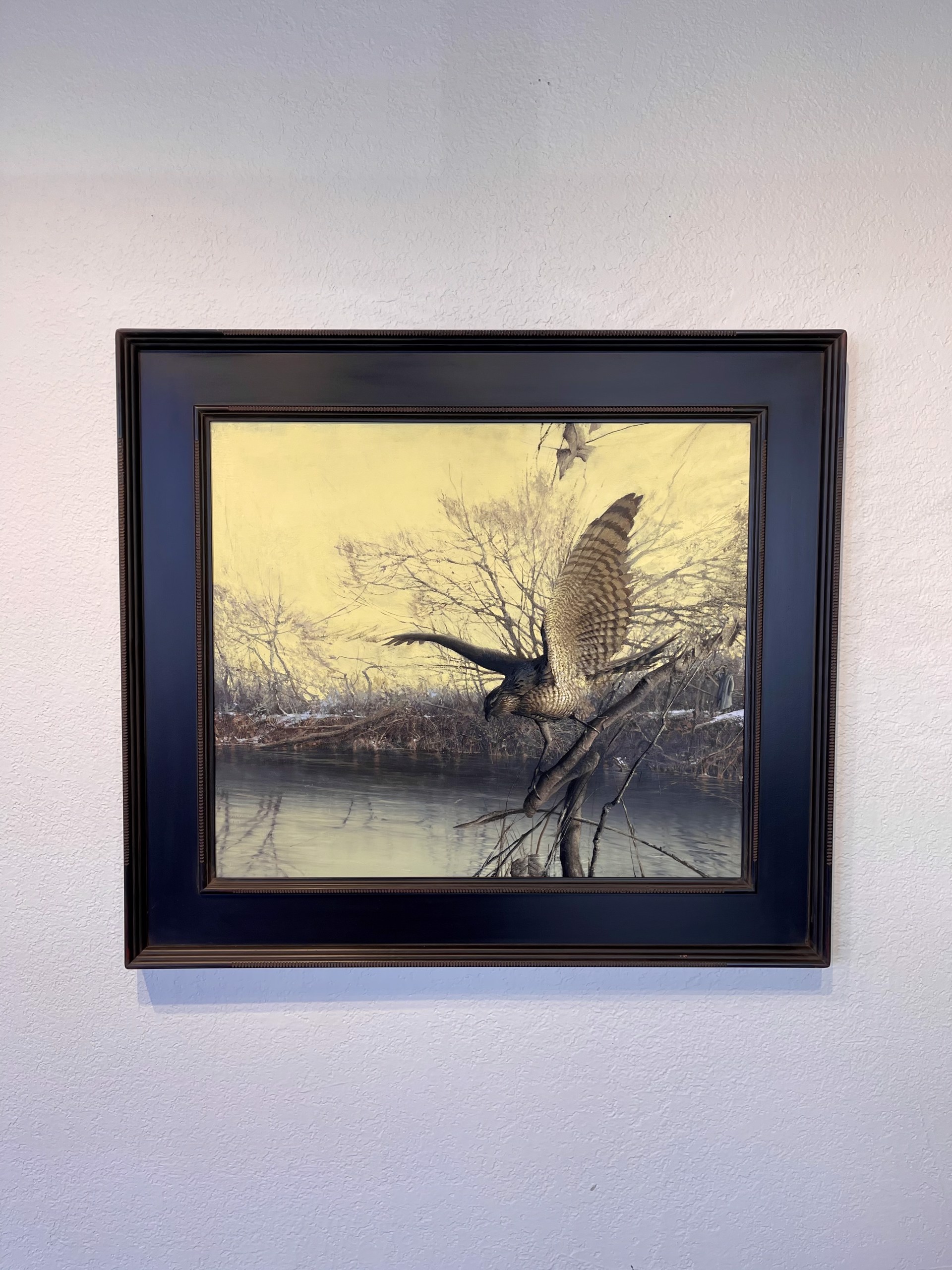 Spotted Hawk by Daniel Sprick