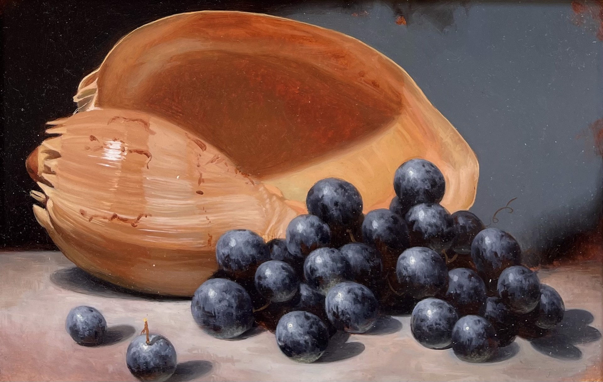 Shell and Grapes by Scott Royston