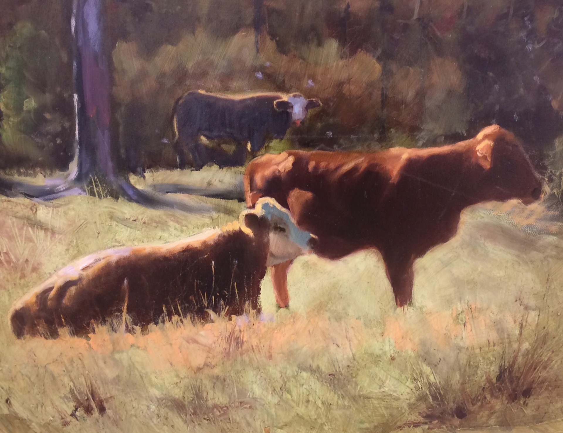 Cows In Sun II by John Reynolds