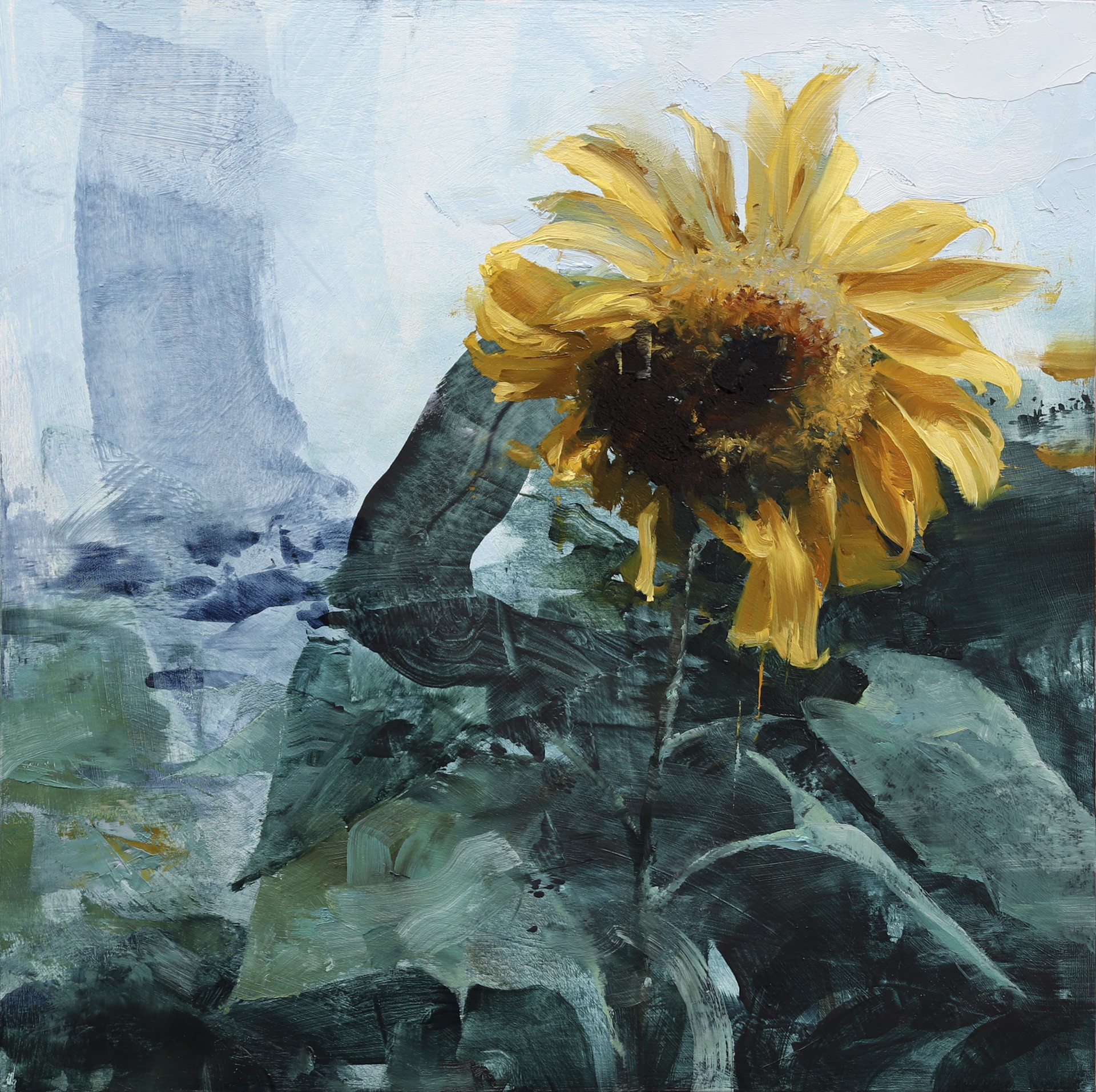 Sunflower Series: #3 by Aron Belka