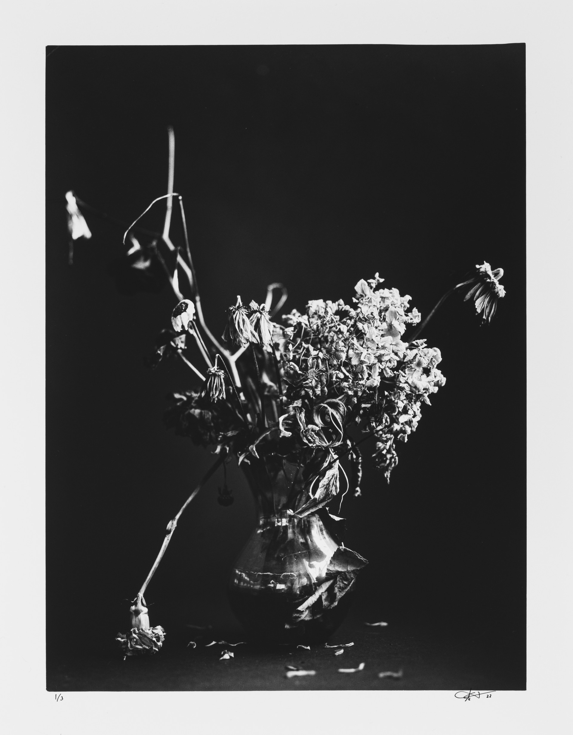 Birthday Flowers Framed by Eli Warren