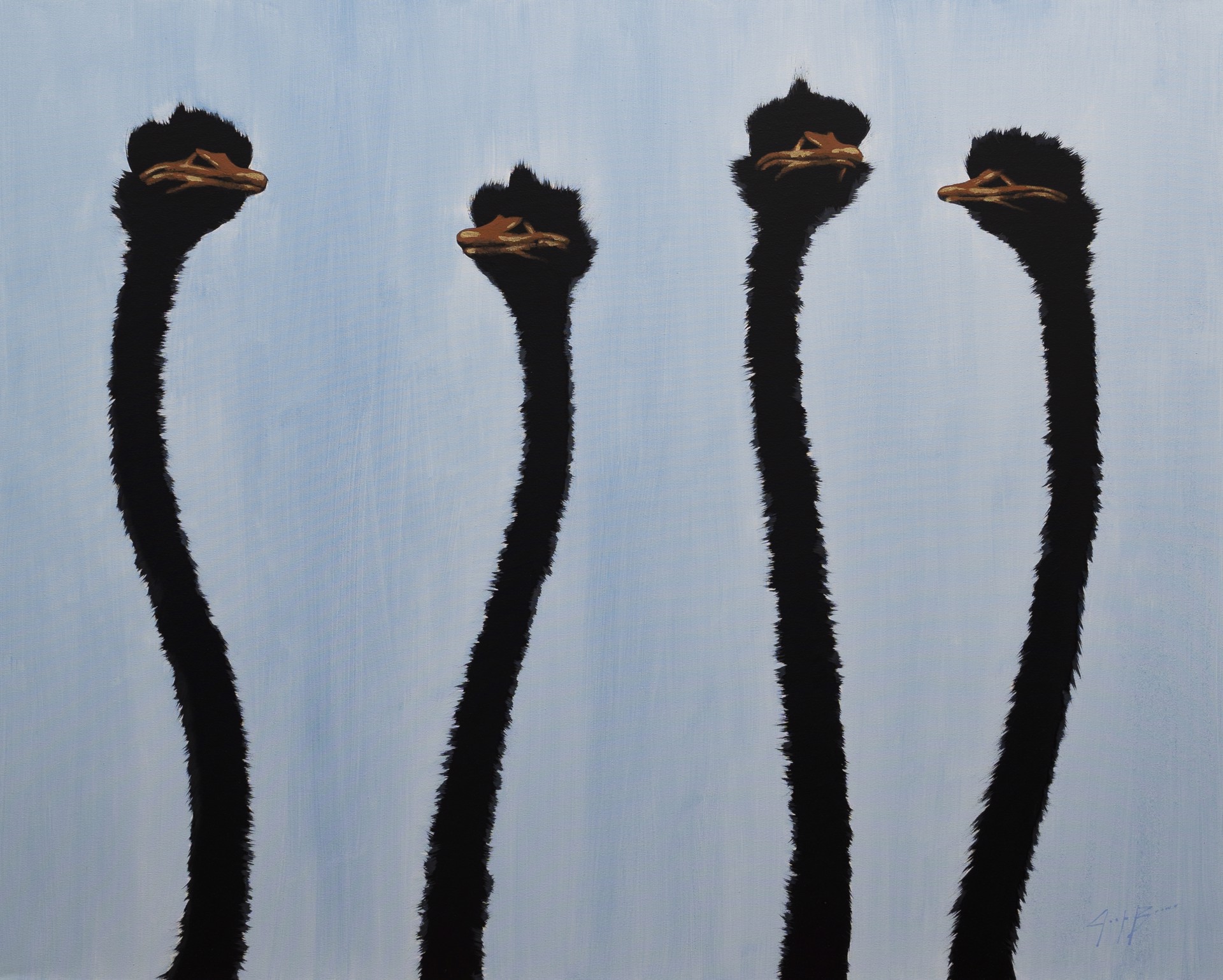 Four Ostrich on Blue Wash by Josh Brown