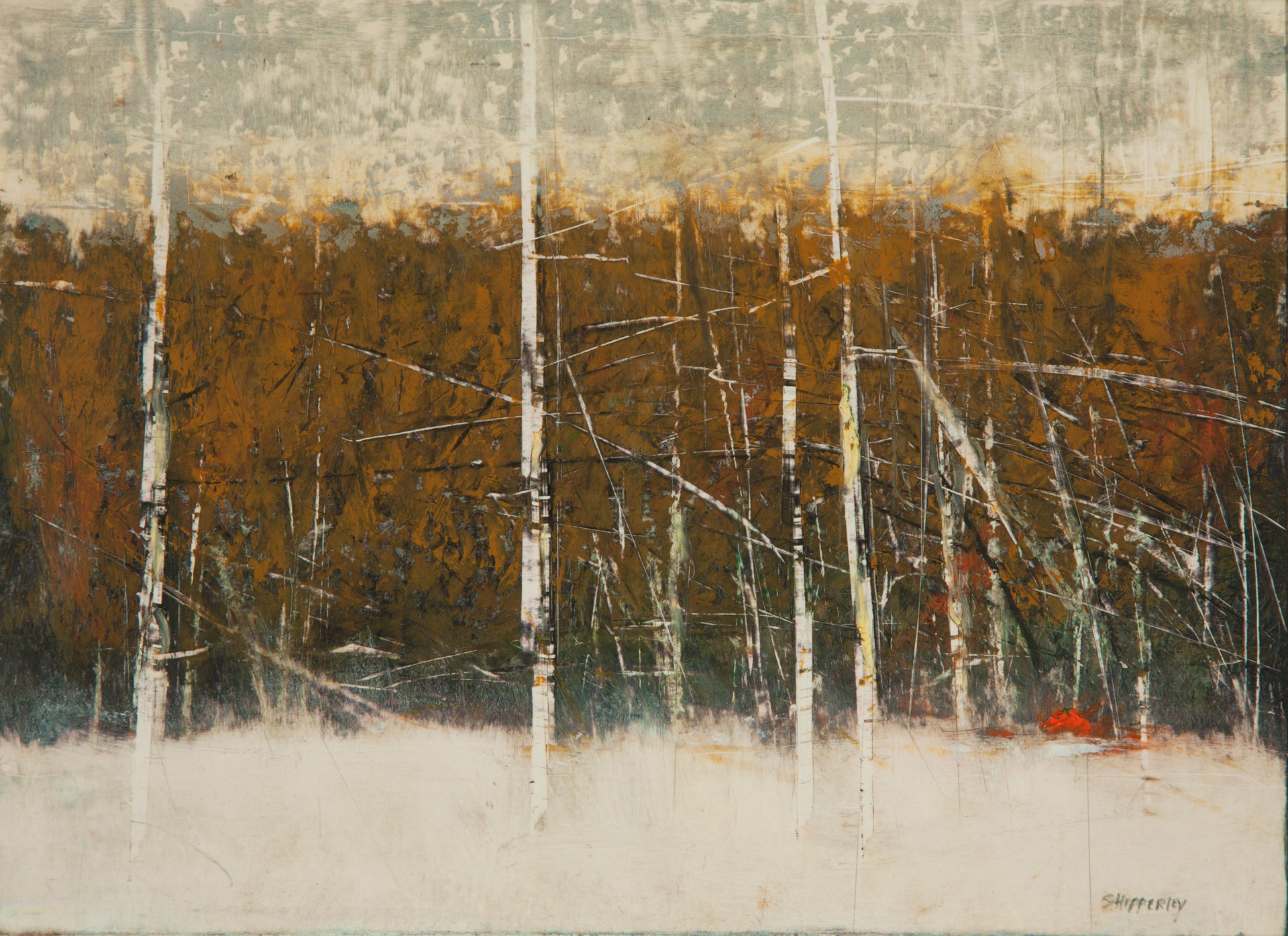 Winter Birches by George Shipperley