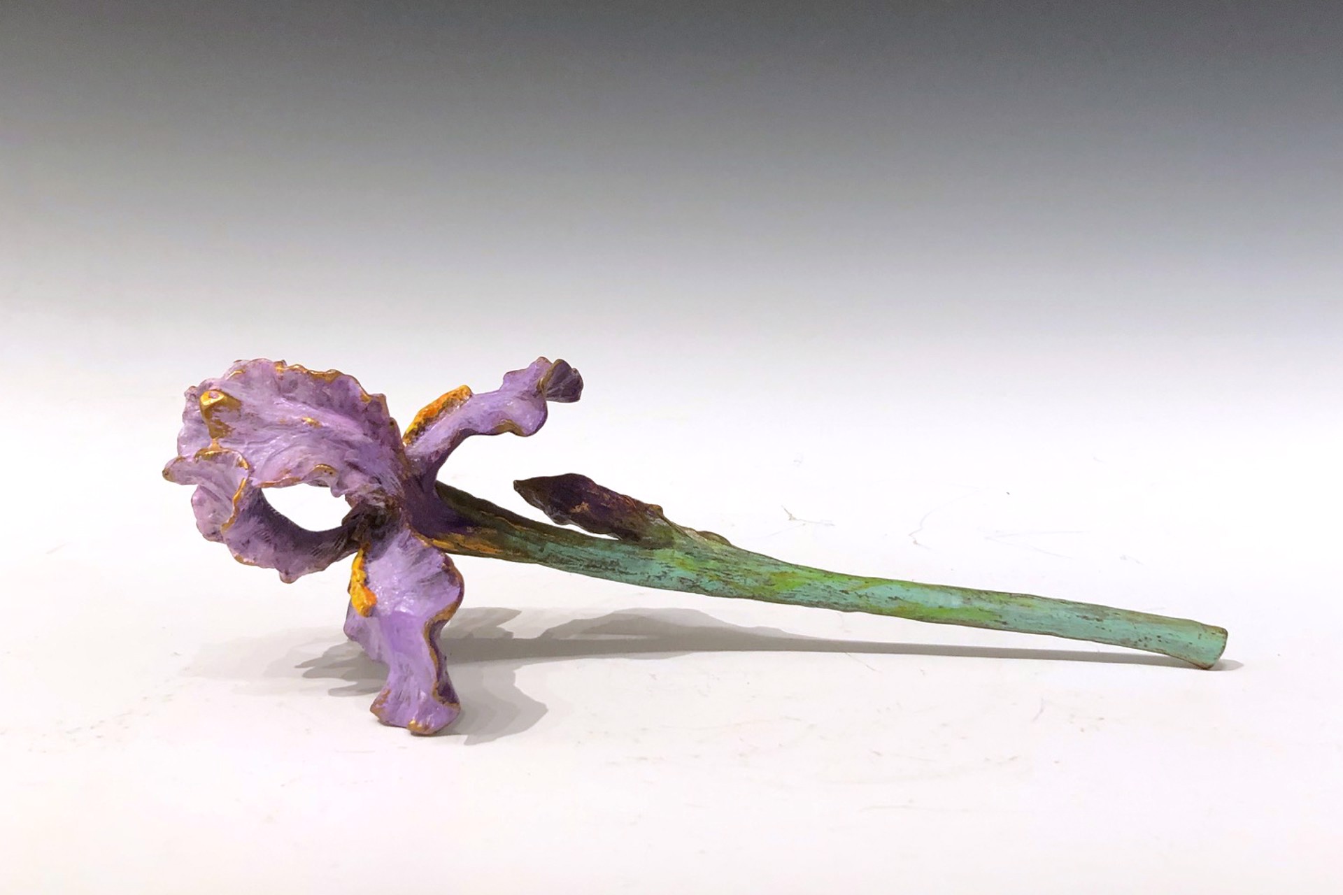 Large German Iris by Sharles