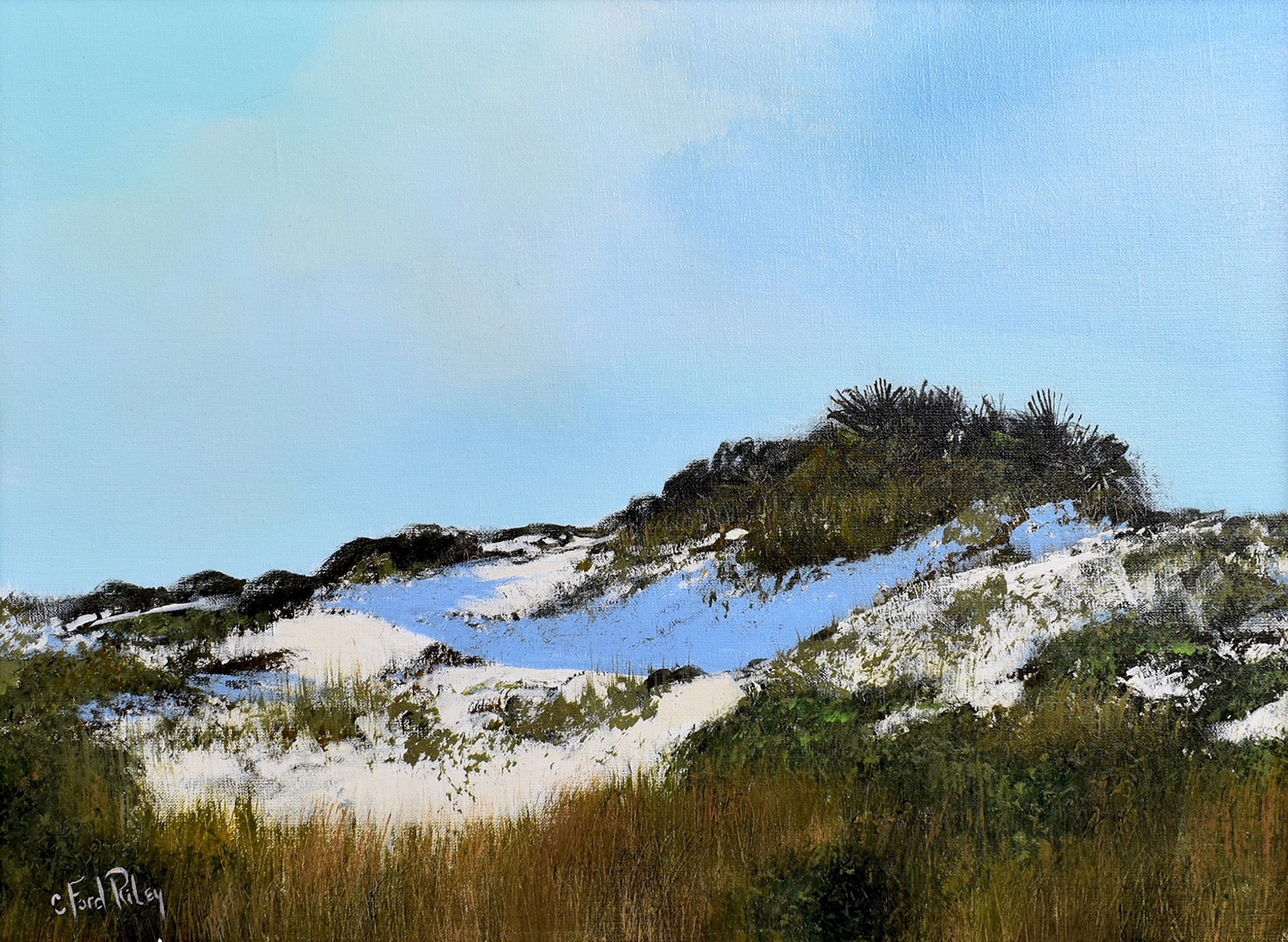 Sand Dunes by C. Ford Riley