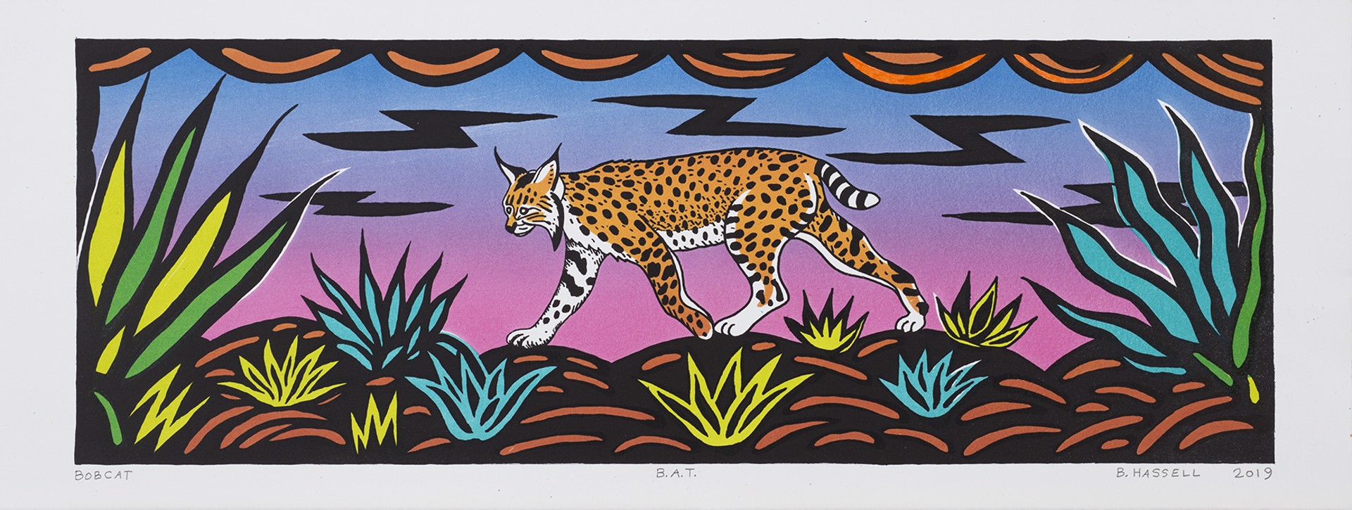 Bobcat by Billy Hassell