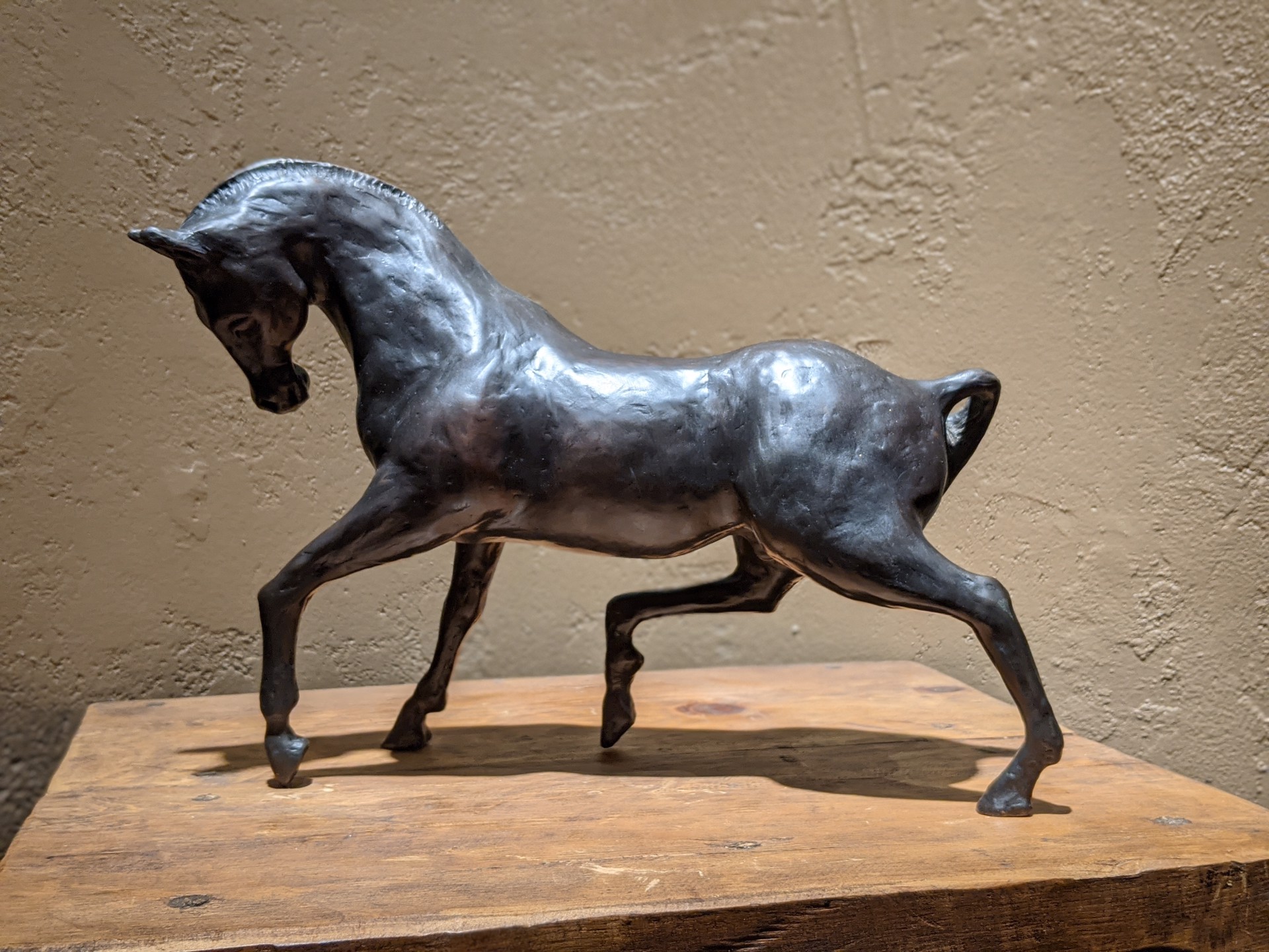 Arabian Stallion by Antony Corso