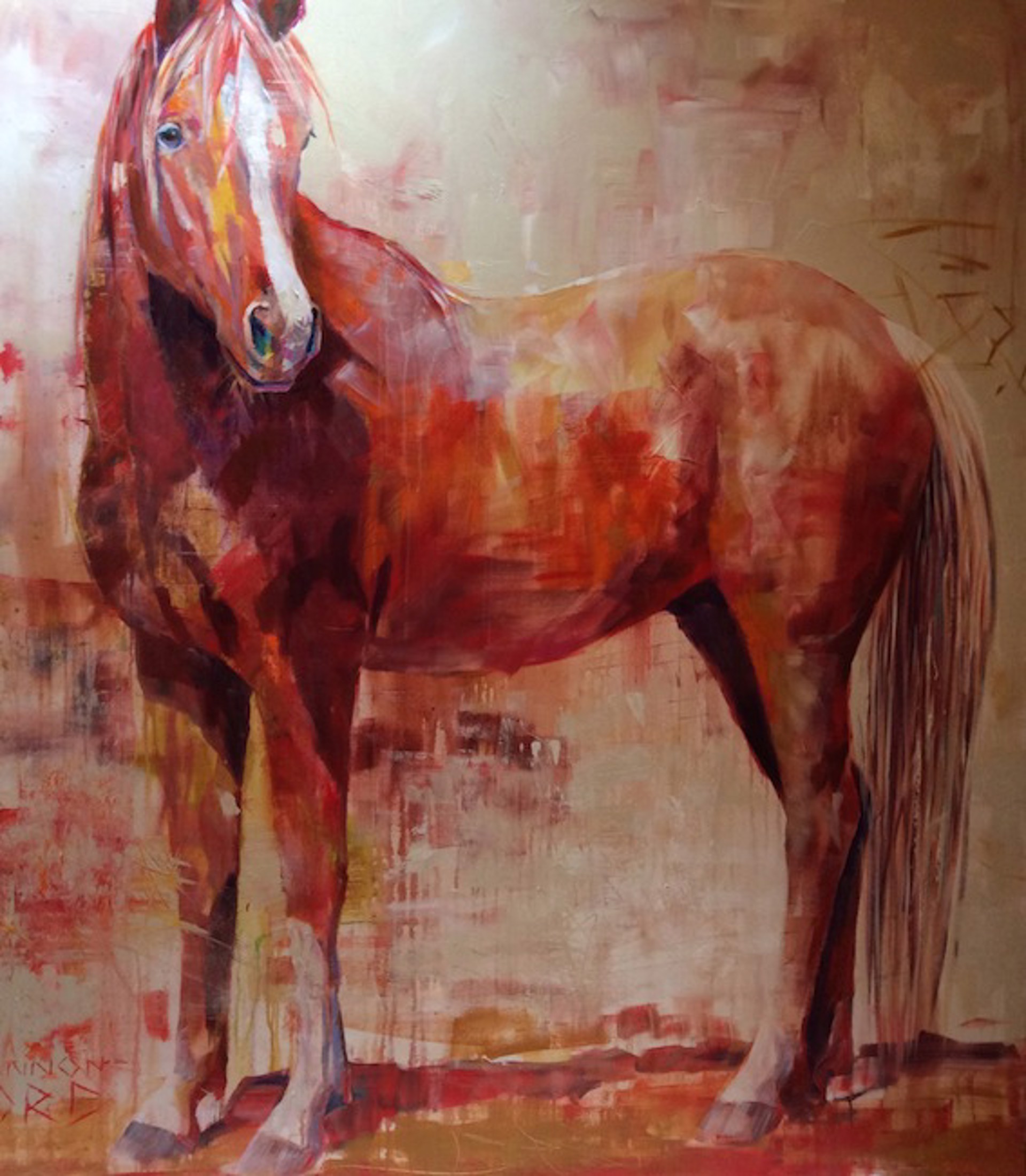 The Red Colt by Shannon Ford