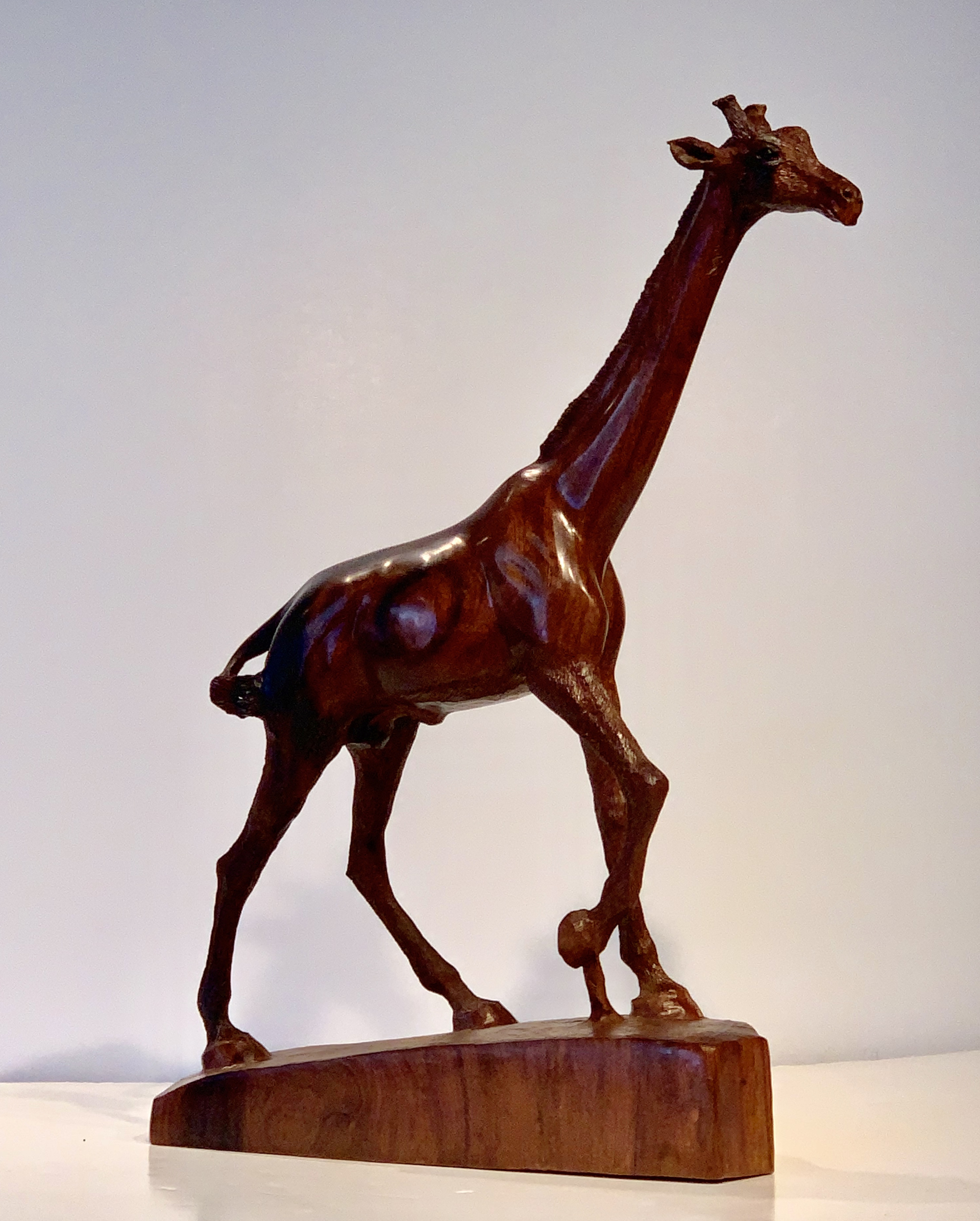 Giraffe by Thomas Suby