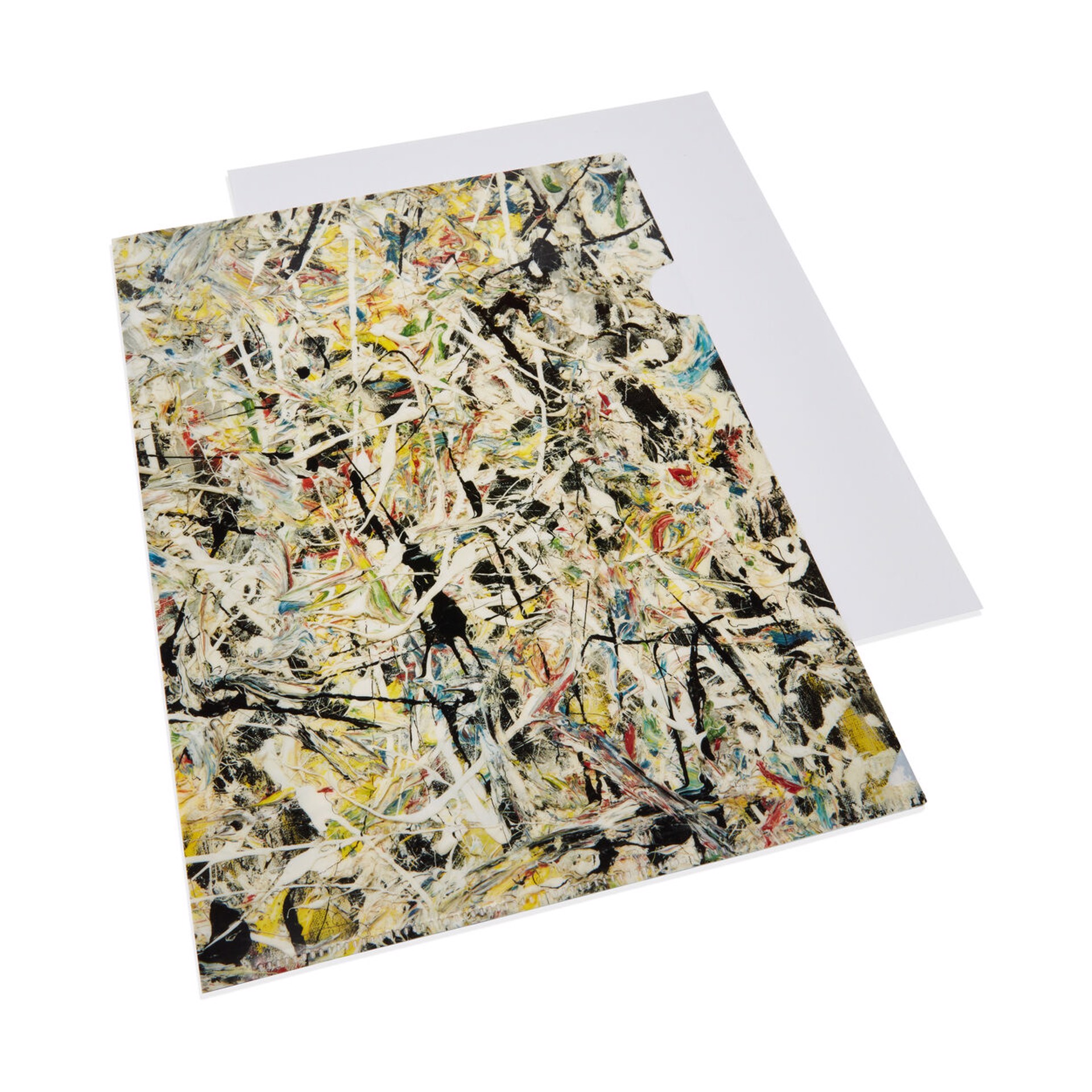 Jackson Pollock Folder