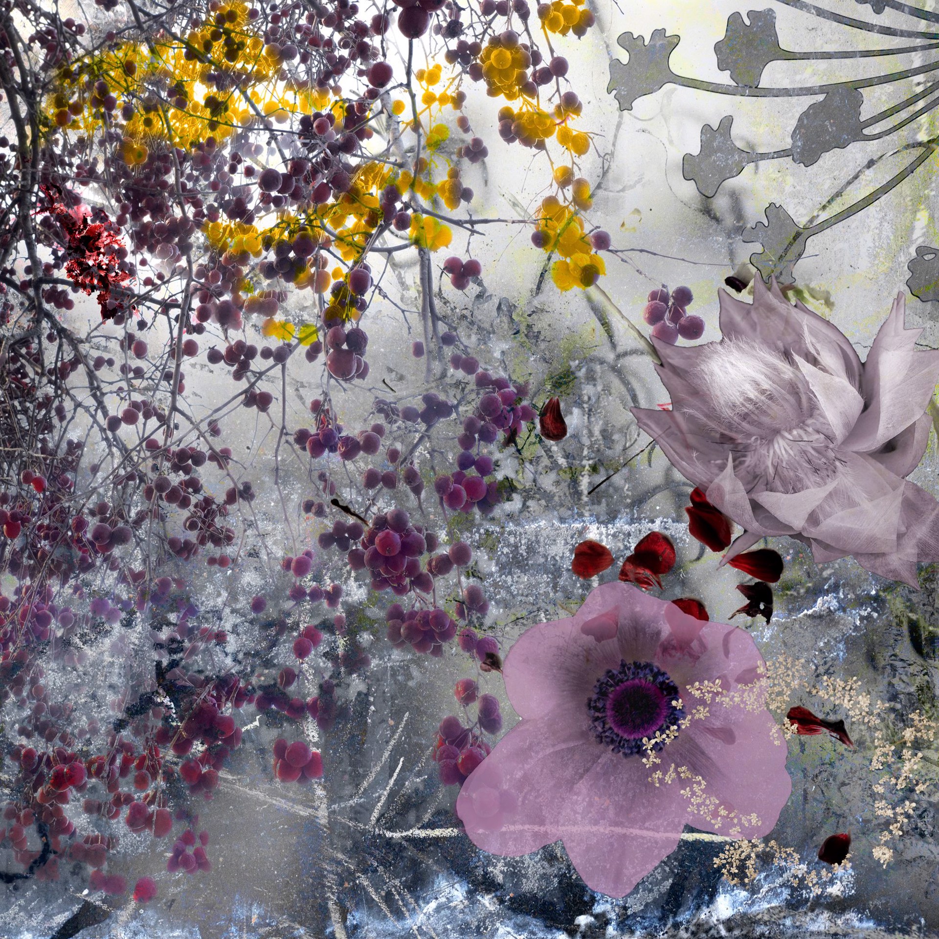 FLOWERS SERIES I NO. 2 by CAROL EISENBERG