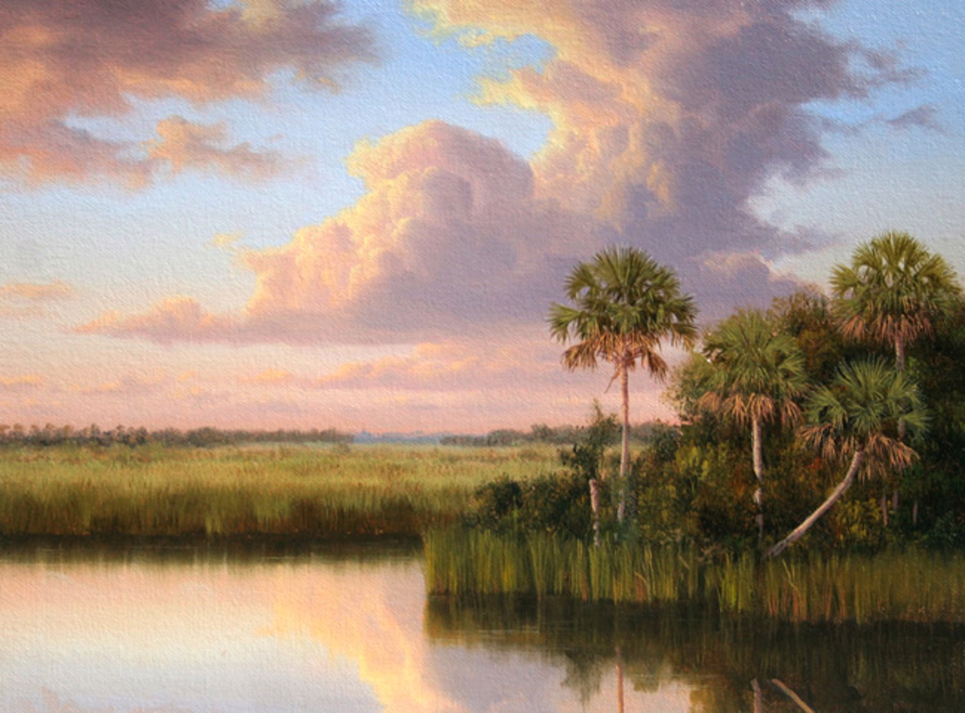 Drifting Over the Glades by HENRY VON GENK III