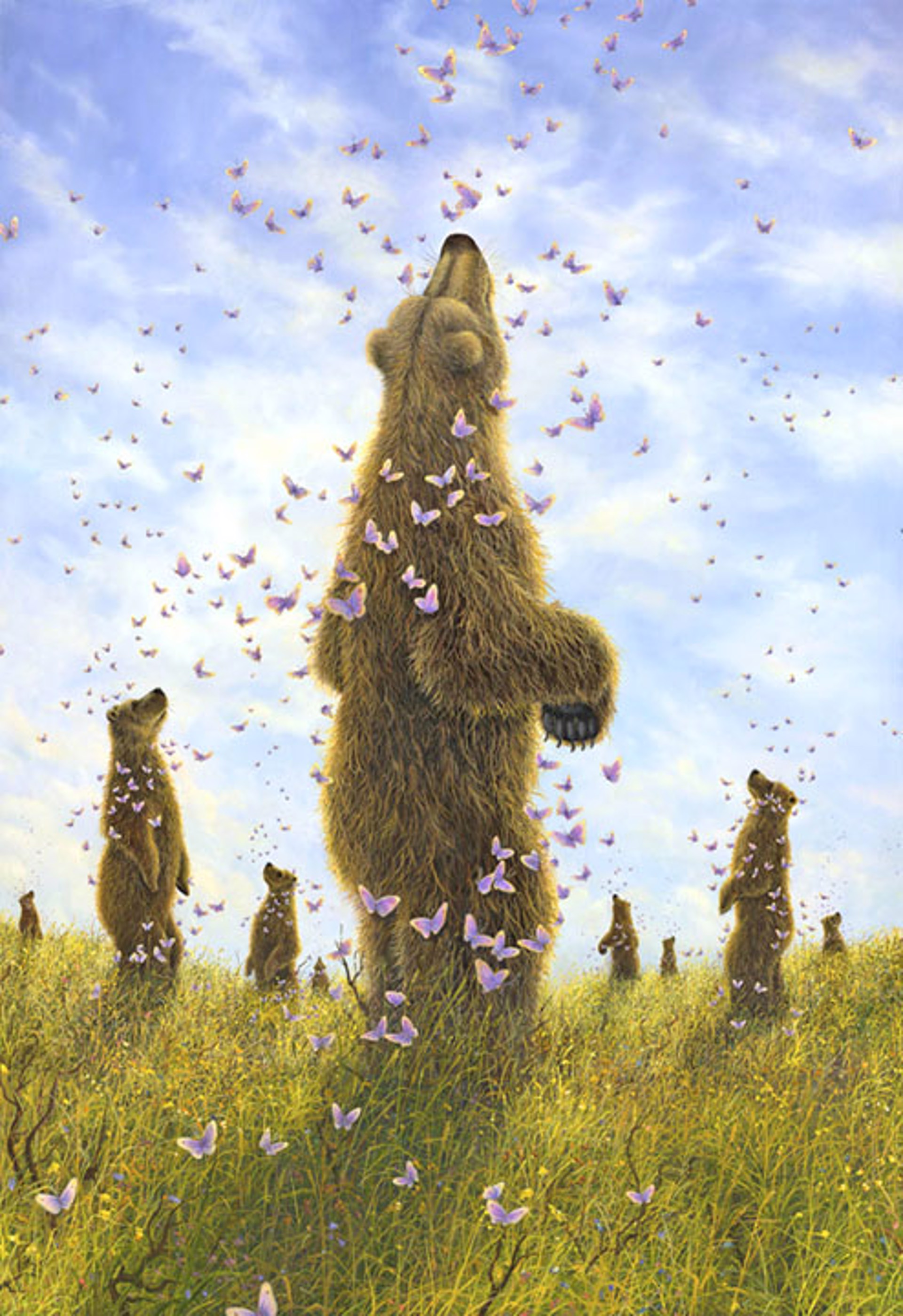 The Enchantment by Robert Bissell