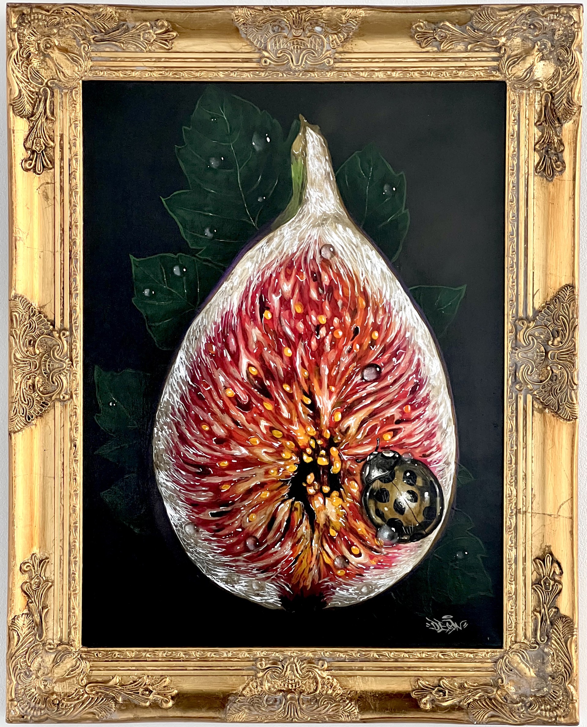 Lady's Fig by Anthony Deon